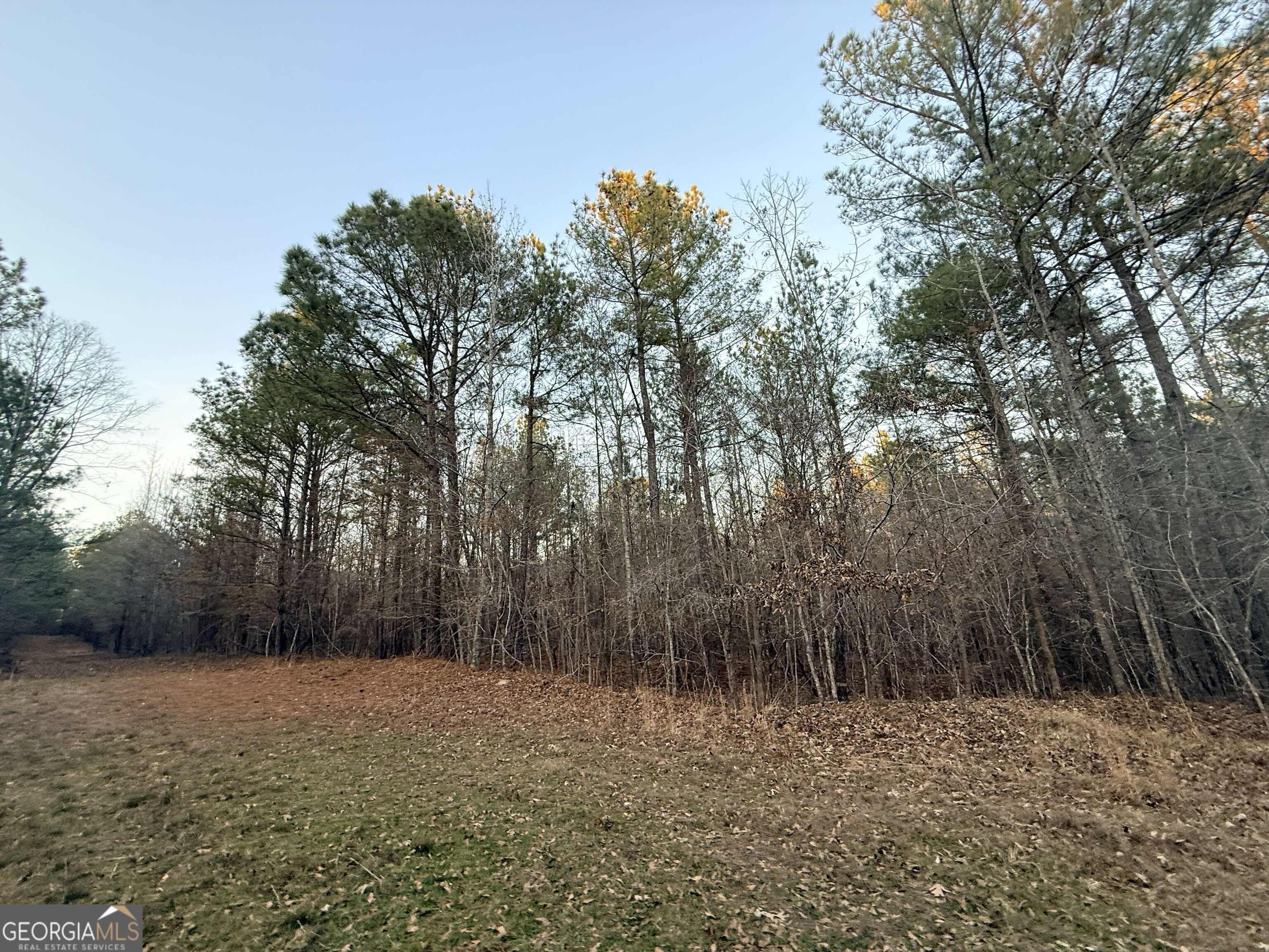 0 Cunningham Road Greensboro, GA 30642 - Photo 52 of 90 a view of a yard with trees