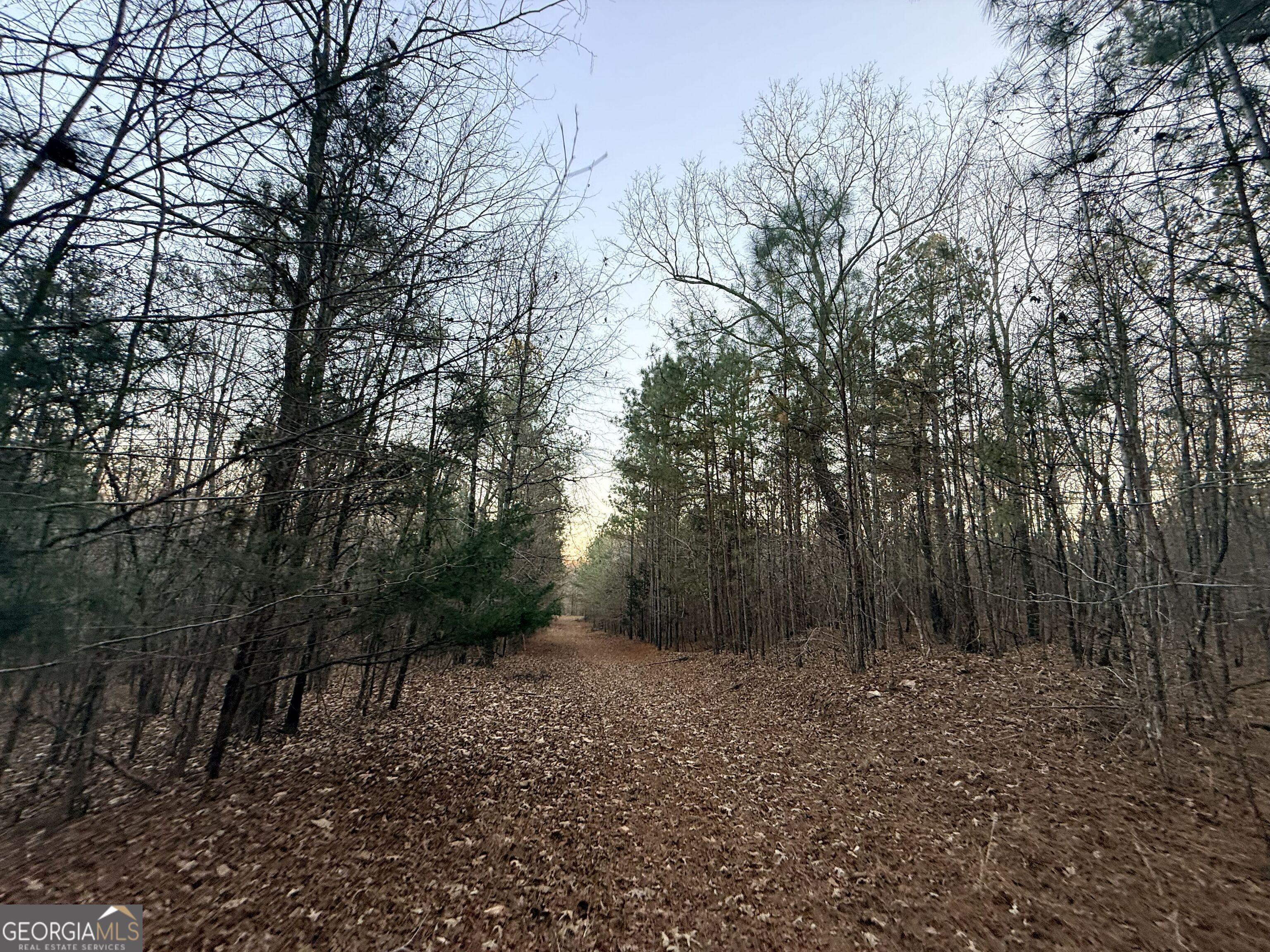 0 Cunningham Road Greensboro, GA 30642 - Photo 53 of 90 a view of backyard with green space