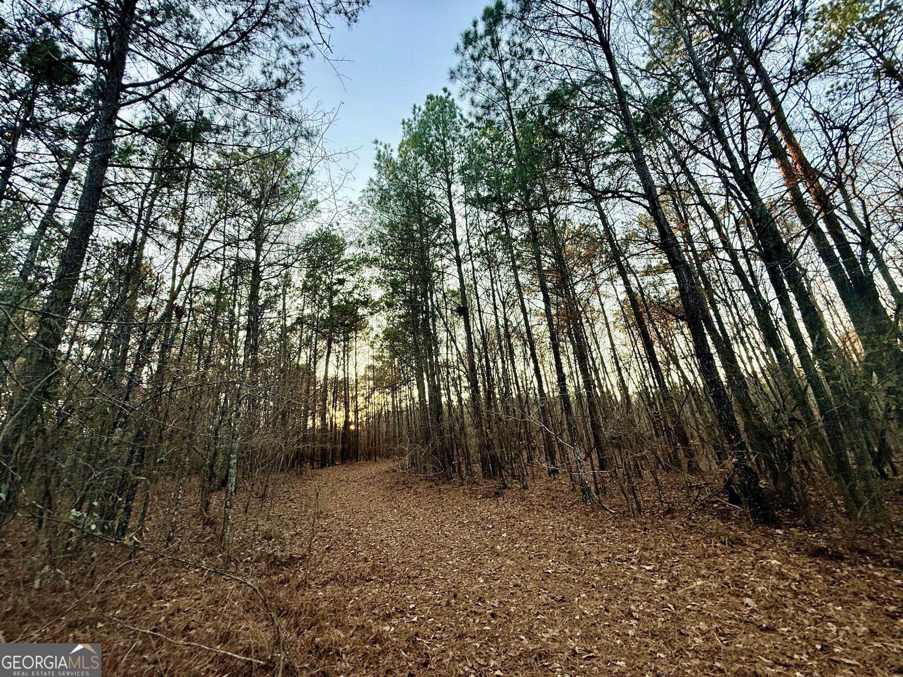 0 Cunningham Road Greensboro, GA 30642 - Photo 55 of 90