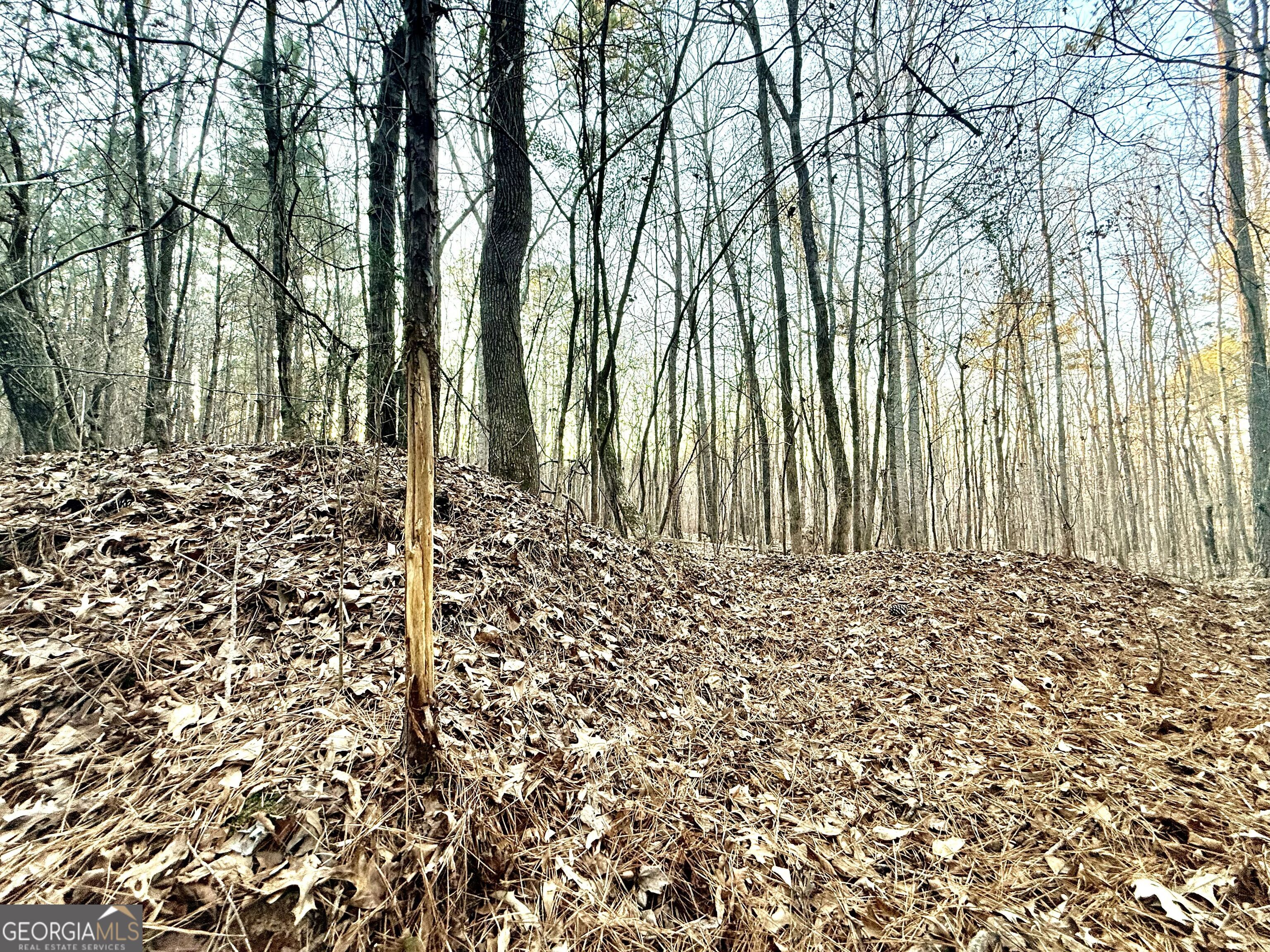 0 Cunningham Road Greensboro, GA 30642 - Photo 57 of 90