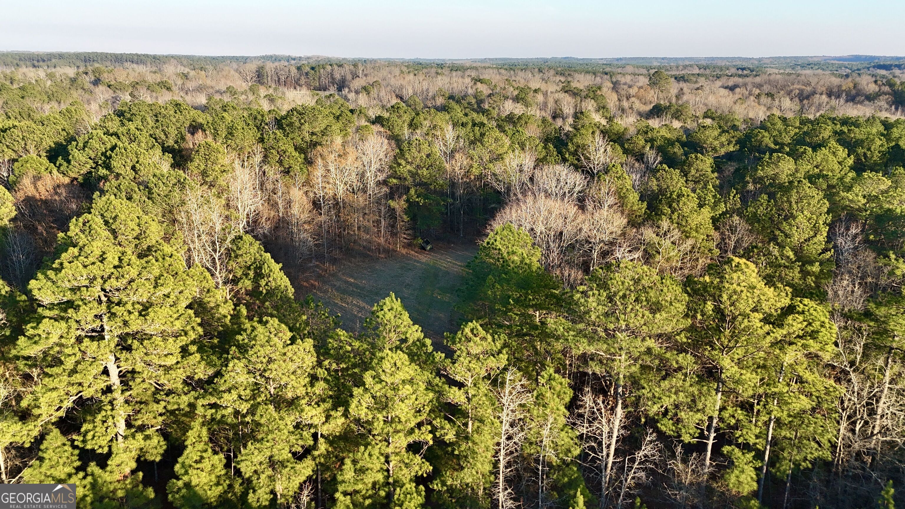 0 Cunningham Road Greensboro, GA 30642 - Photo 6 of 90