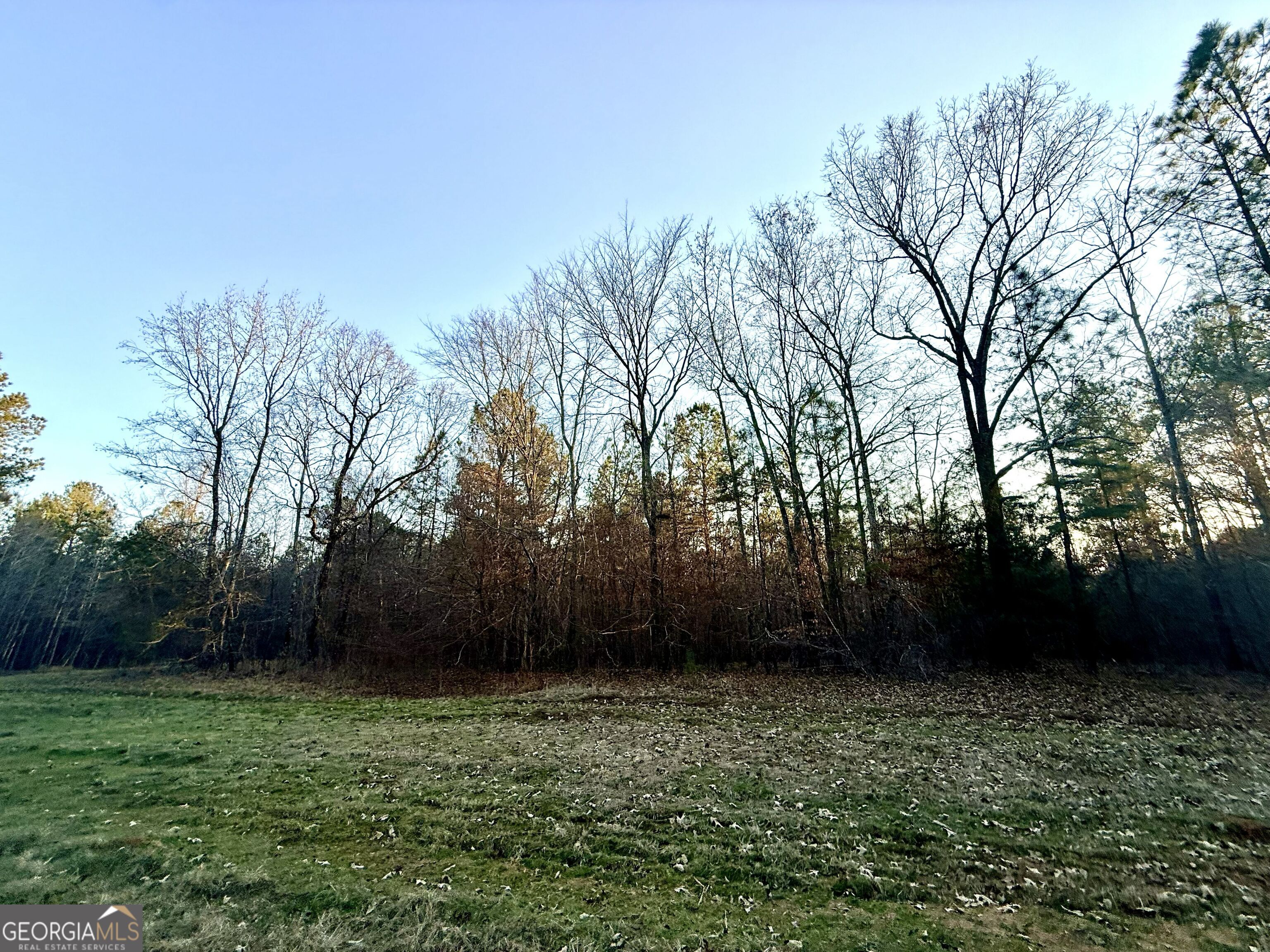0 Cunningham Road Greensboro, GA 30642 - Photo 62 of 90 a view of outdoor space