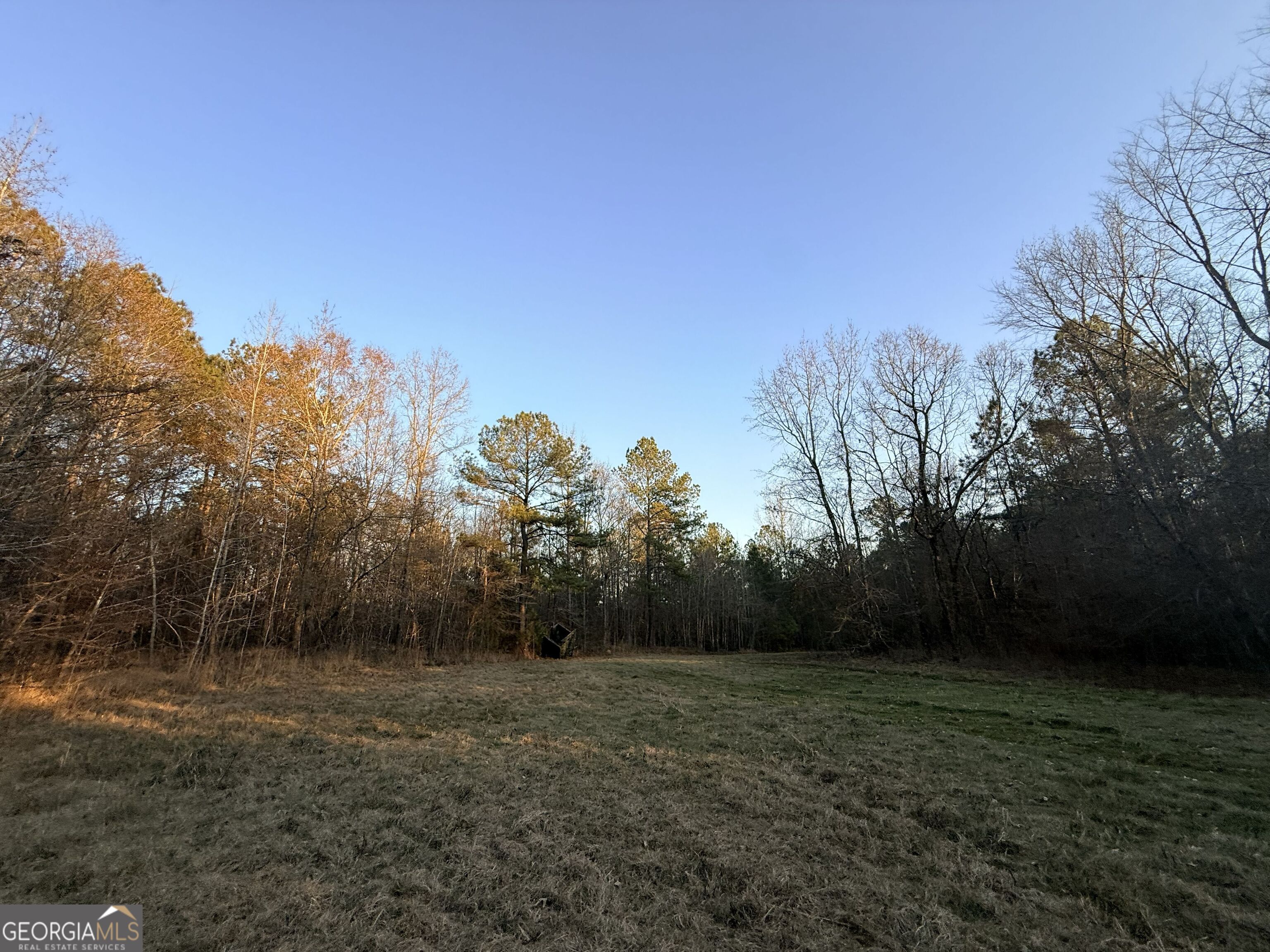 0 Cunningham Road Greensboro, GA 30642 - Photo 66 of 90 a view of a outdoor space