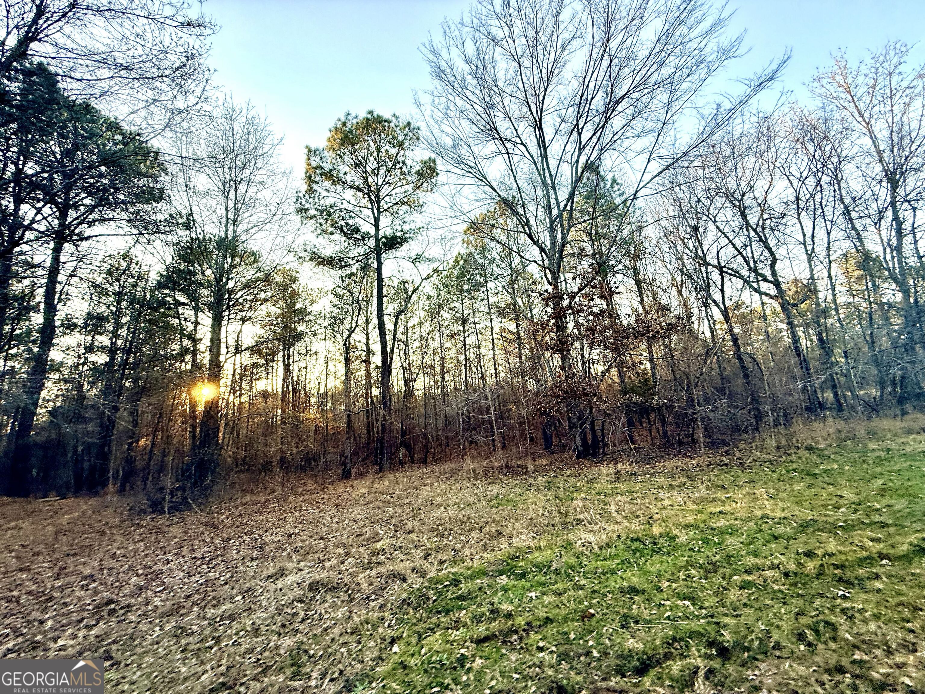 0 Cunningham Road Greensboro, GA 30642 - Photo 67 of 90 a backyard of a house with lots of green space