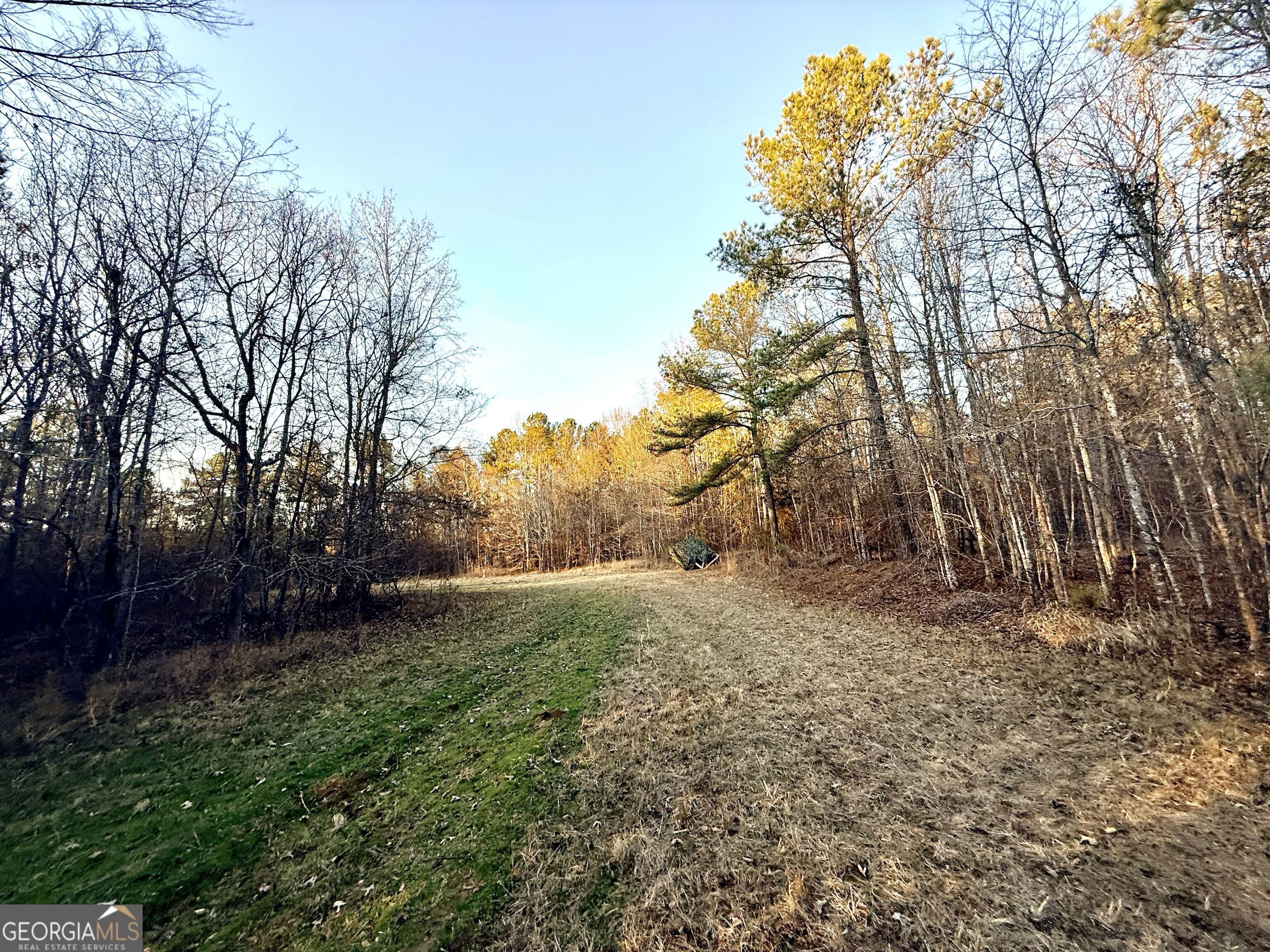 0 Cunningham Road Greensboro, GA 30642 - Photo 68 of 90 a backyard of a house with lots of green space