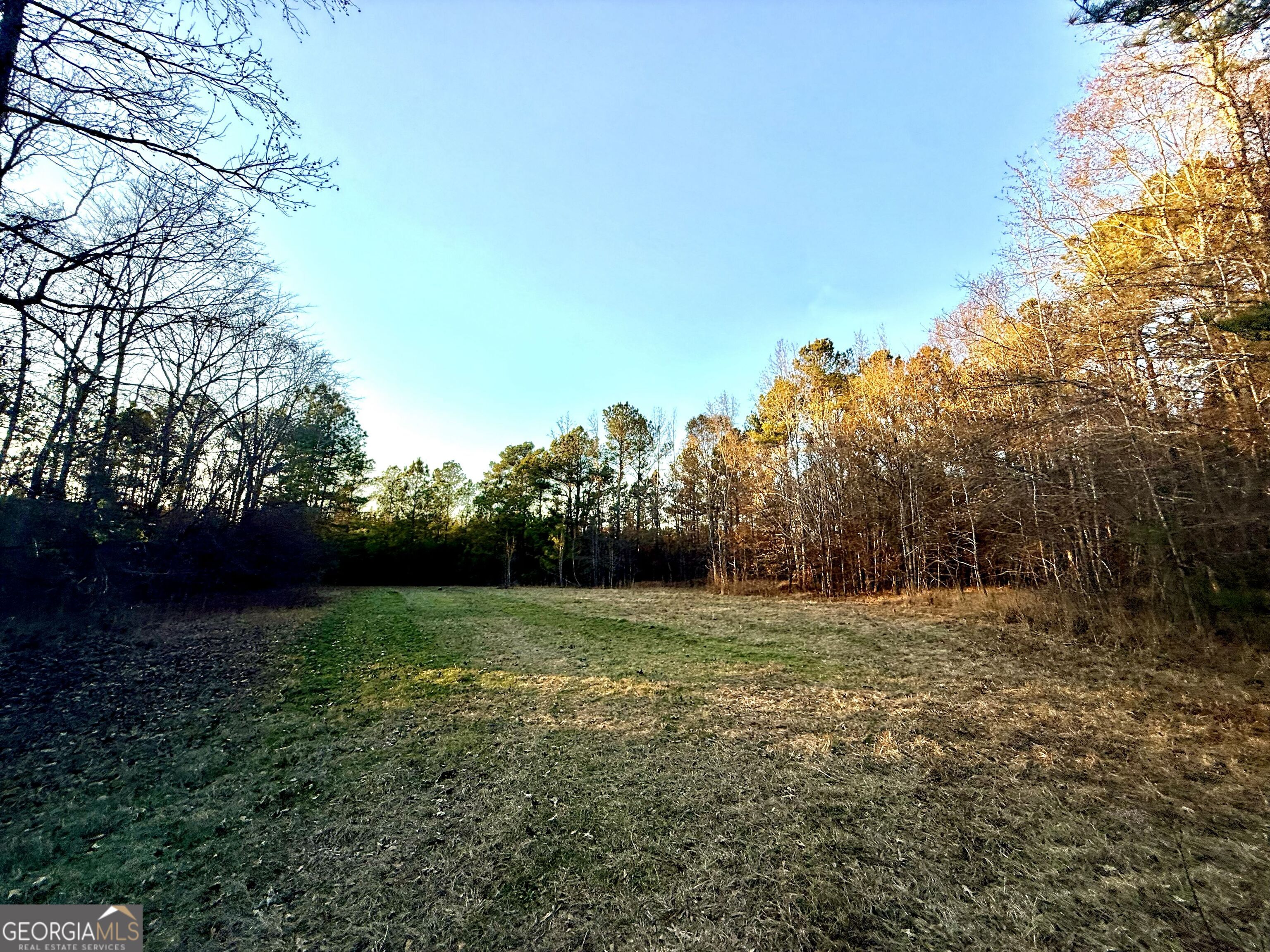 0 Cunningham Road Greensboro, GA 30642 - Photo 69 of 90 a view of a grassy field with trees in the background
