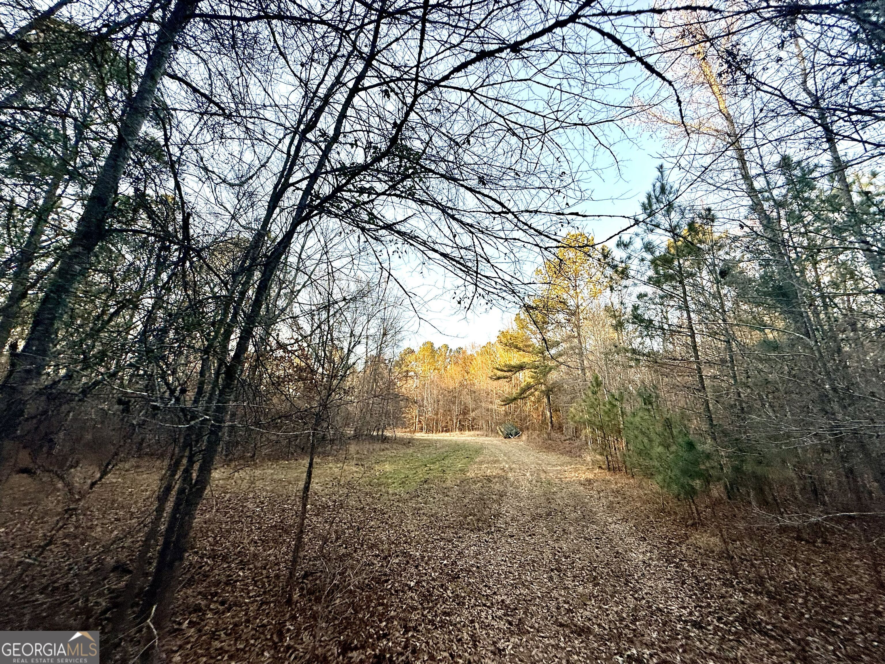 0 Cunningham Road Greensboro, GA 30642 - Photo 70 of 90 a backyard of a house with lots of green space