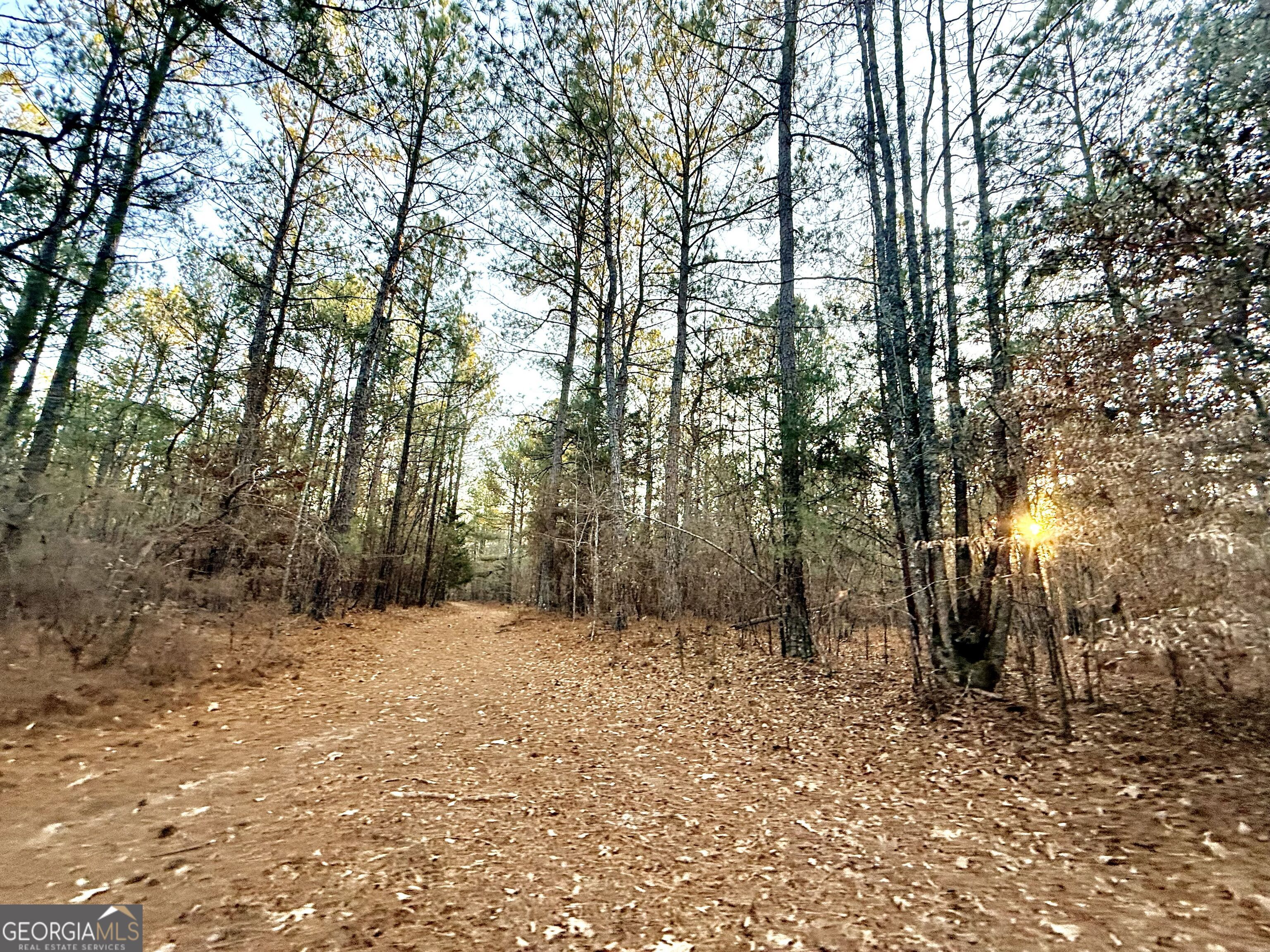 0 Cunningham Road Greensboro, GA 30642 - Photo 72 of 90 a view of outdoor space with trees