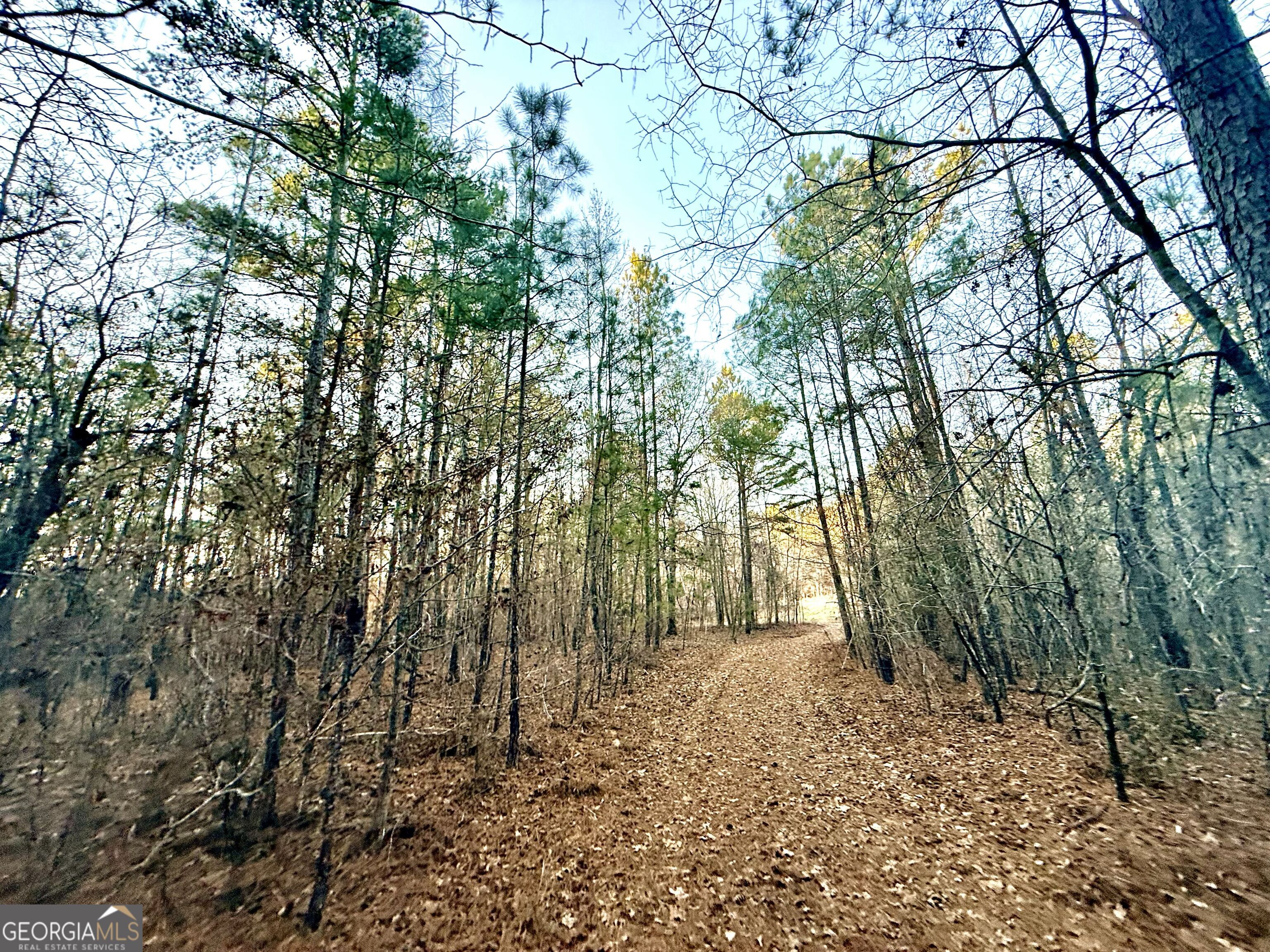 0 Cunningham Road Greensboro, GA 30642 - Photo 73 of 90 a view of outdoor space and yard