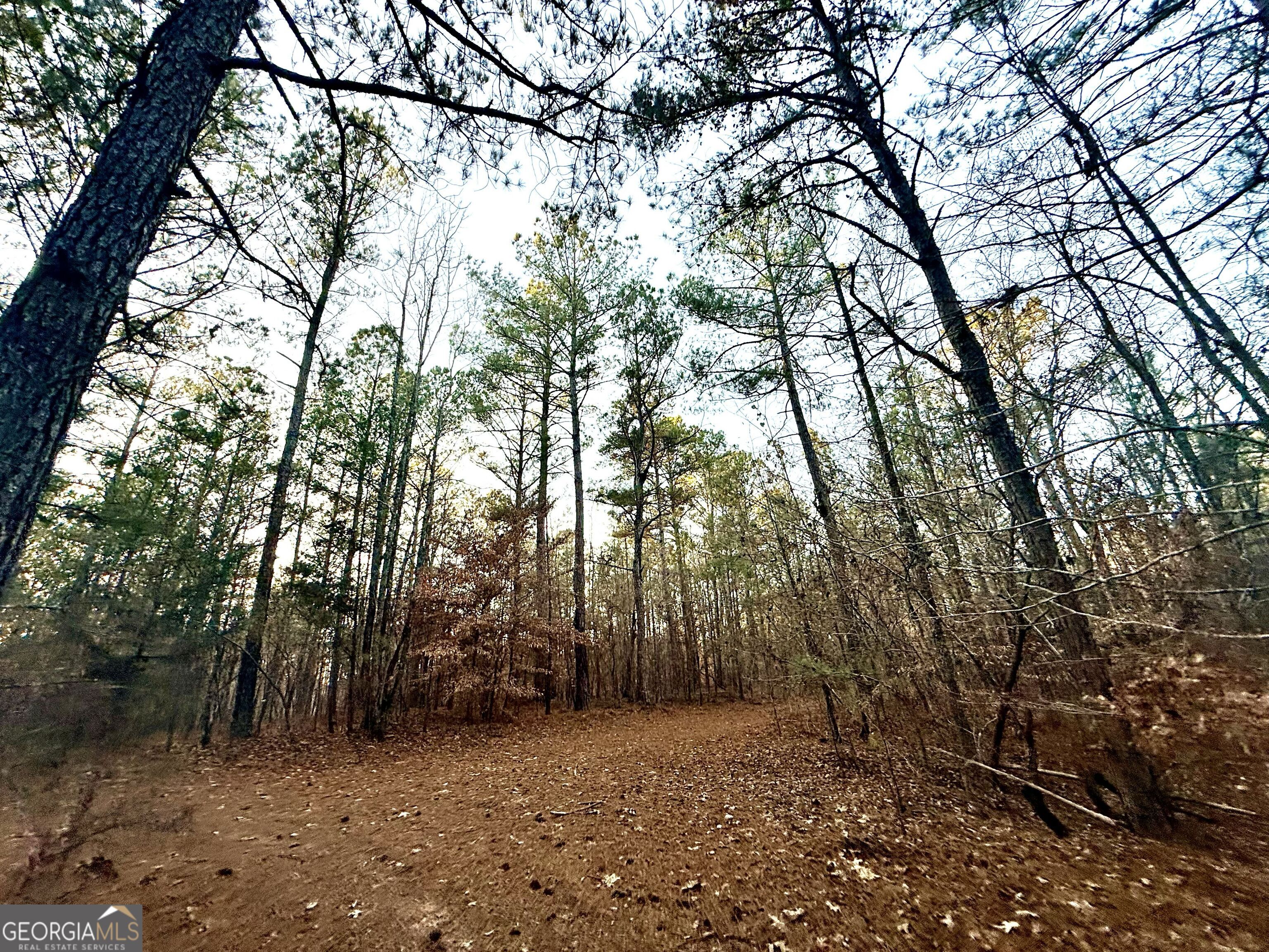 0 Cunningham Road Greensboro, GA 30642 - Photo 75 of 90