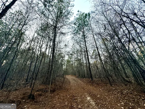 $172,647 | 0 Cunningham Road, Greensboro, GA 30642