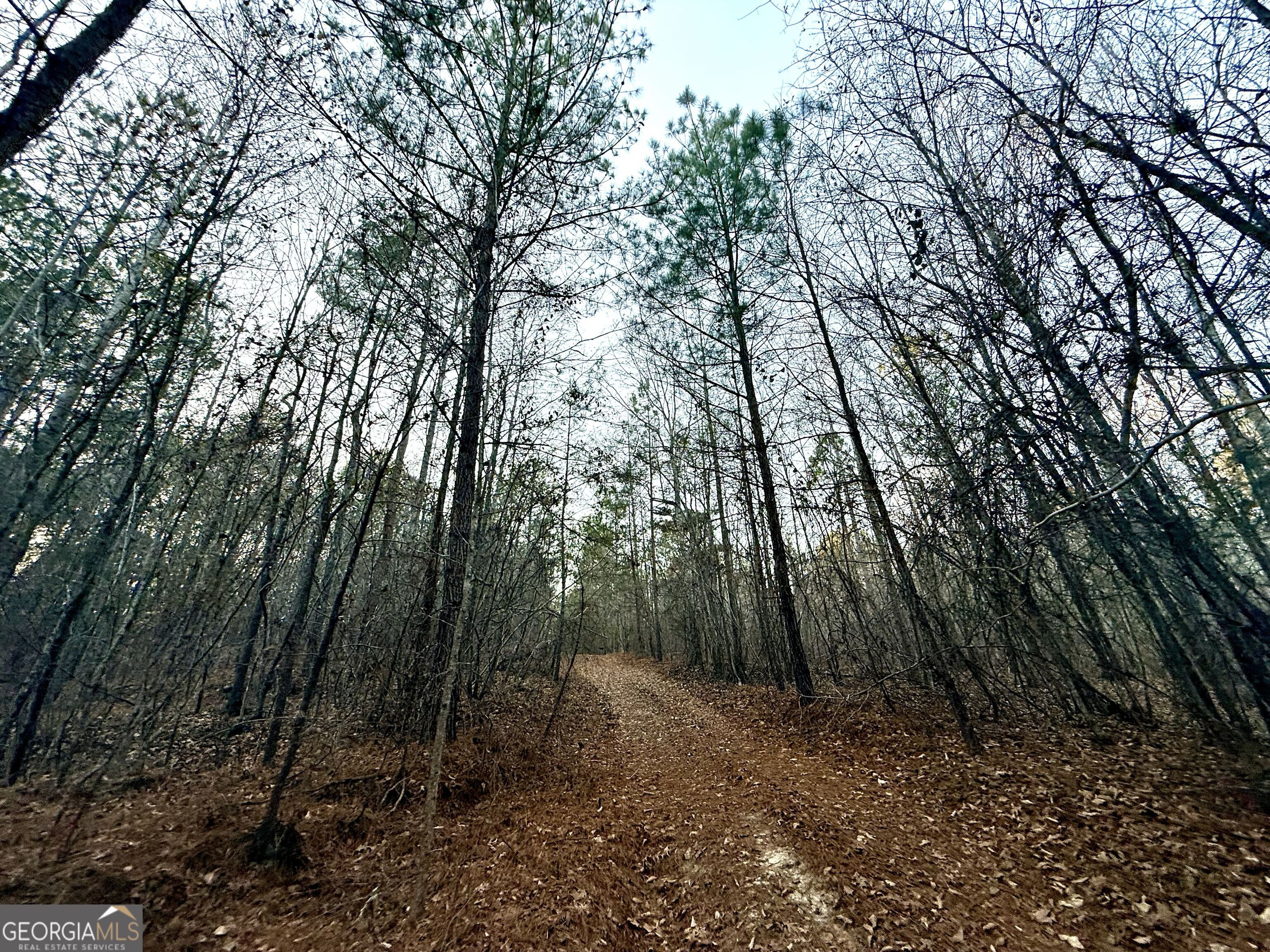 0 Cunningham Road Greensboro, GA 30642 - Photo 76 of 90