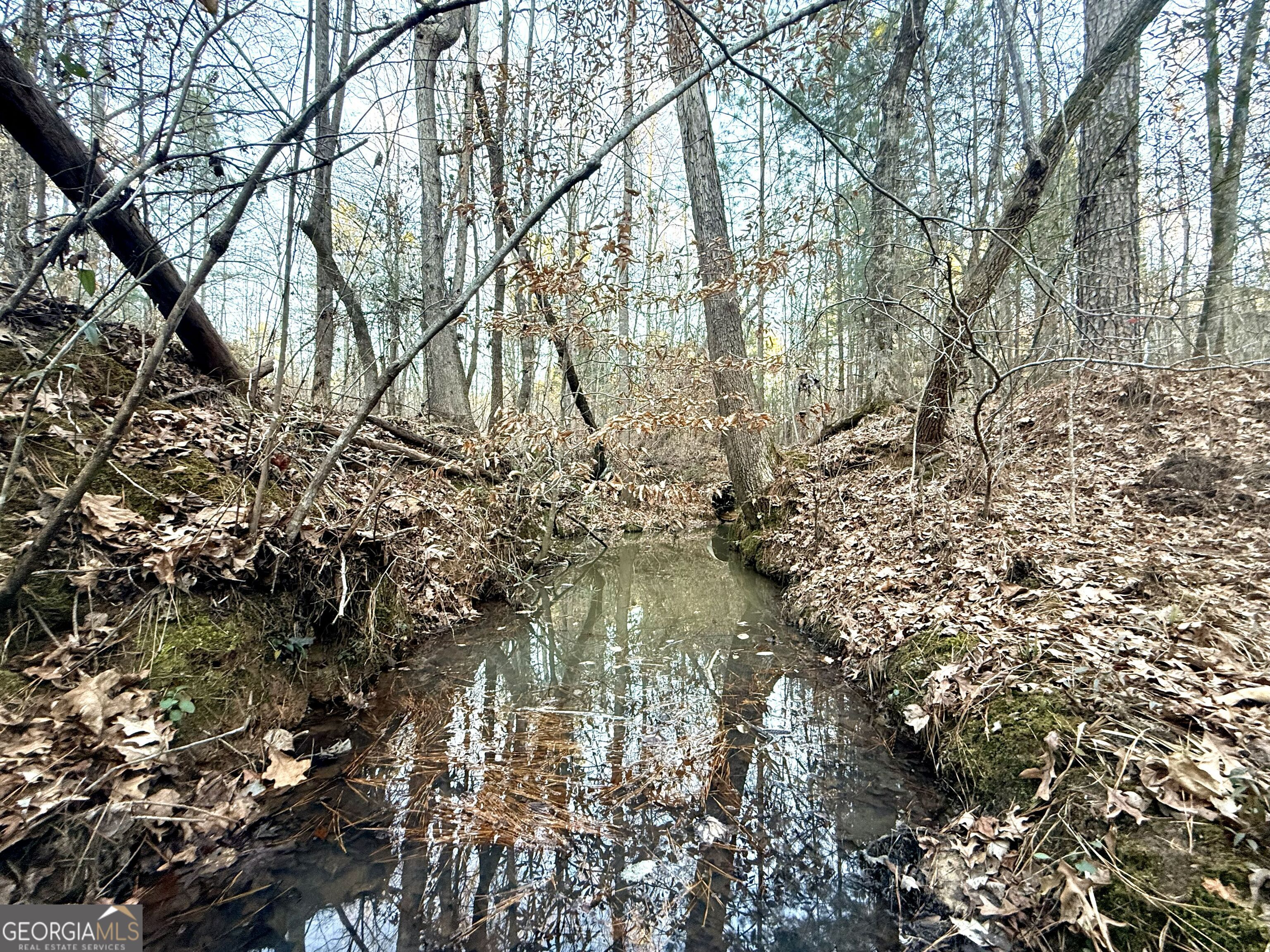 0 Cunningham Road Greensboro, GA 30642 - Photo 78 of 90 a backyard of a building with large trees
