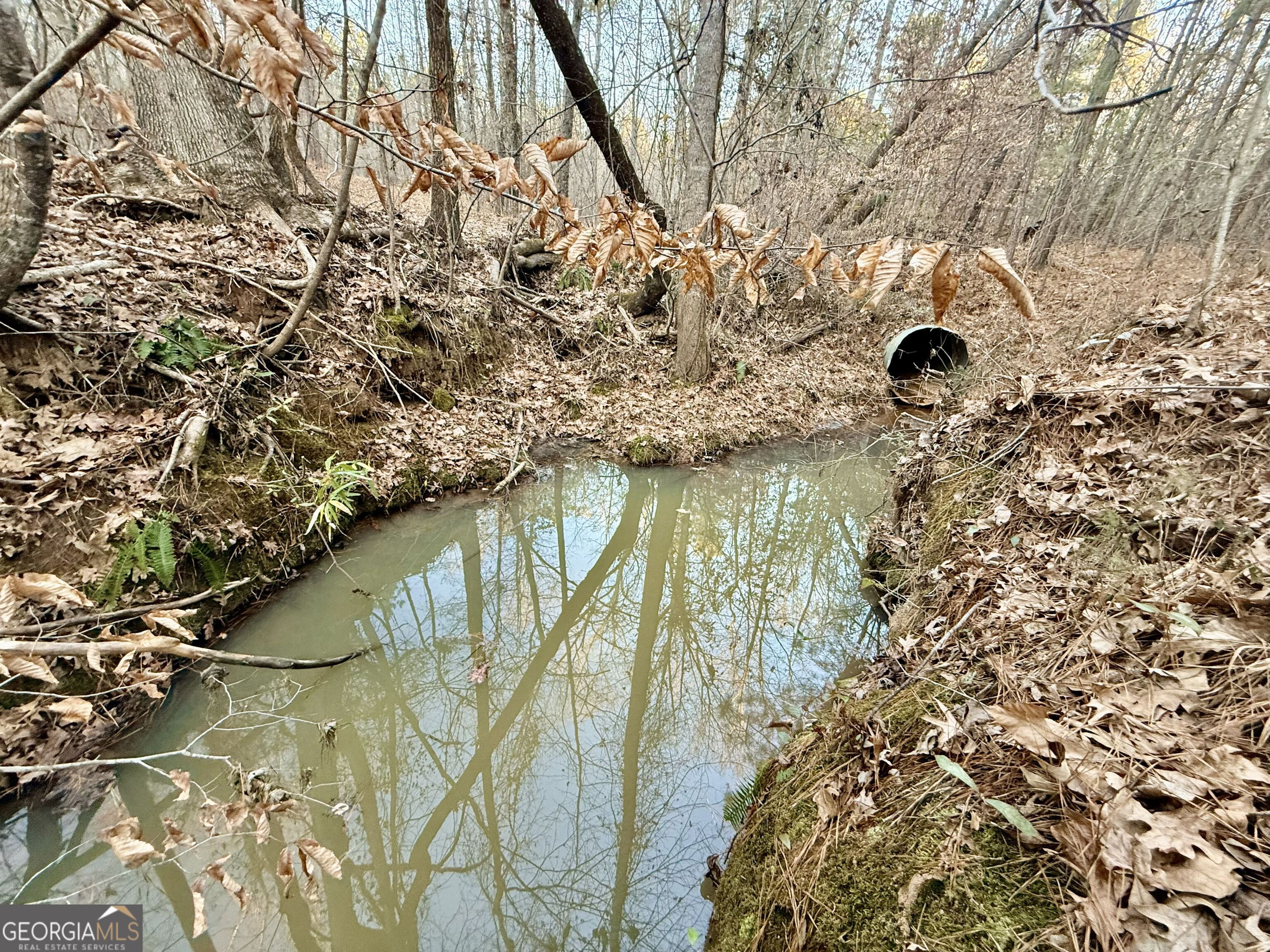 0 Cunningham Road Greensboro, GA 30642 - Photo 79 of 90
