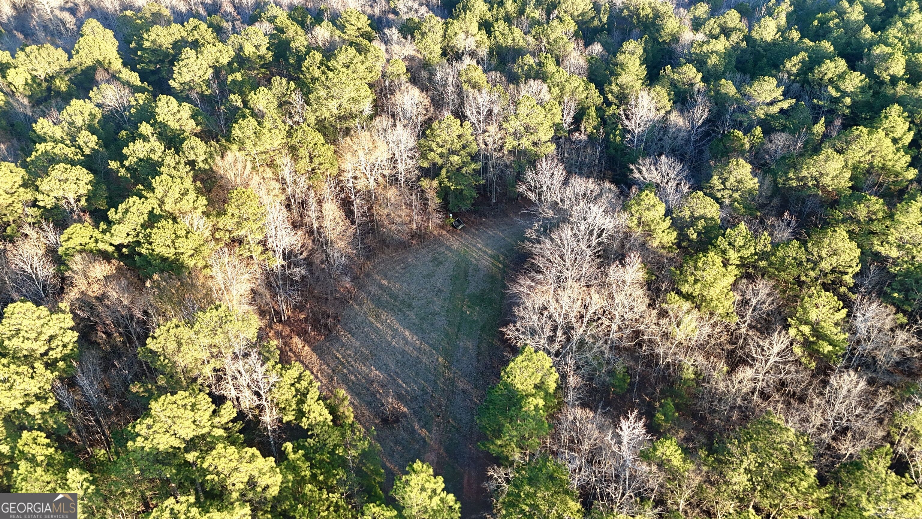 0 Cunningham Road Greensboro, GA 30642 - Photo 8 of 90