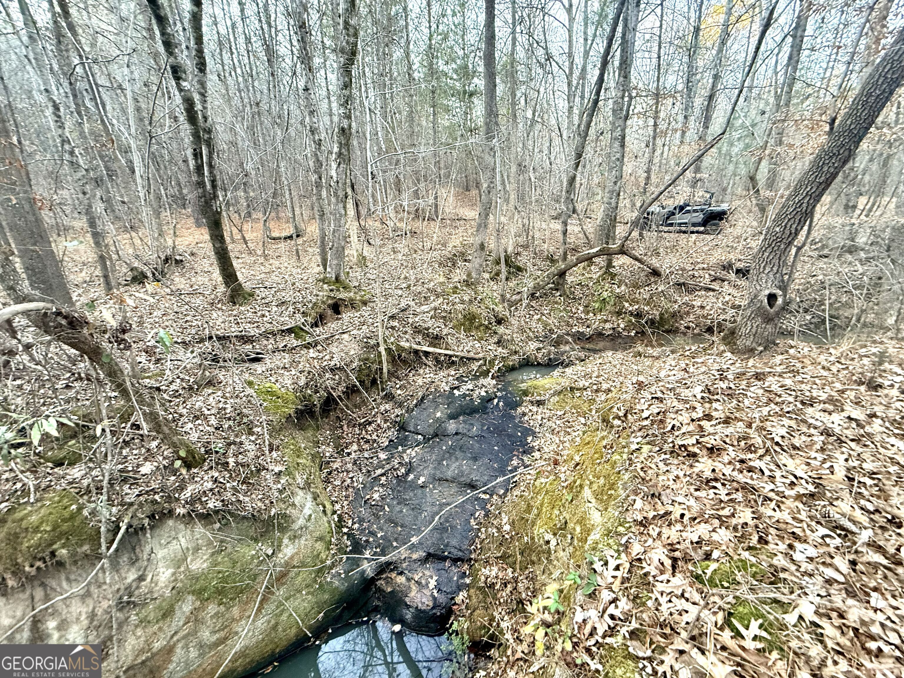 0 Cunningham Road Greensboro, GA 30642 - Photo 81 of 90