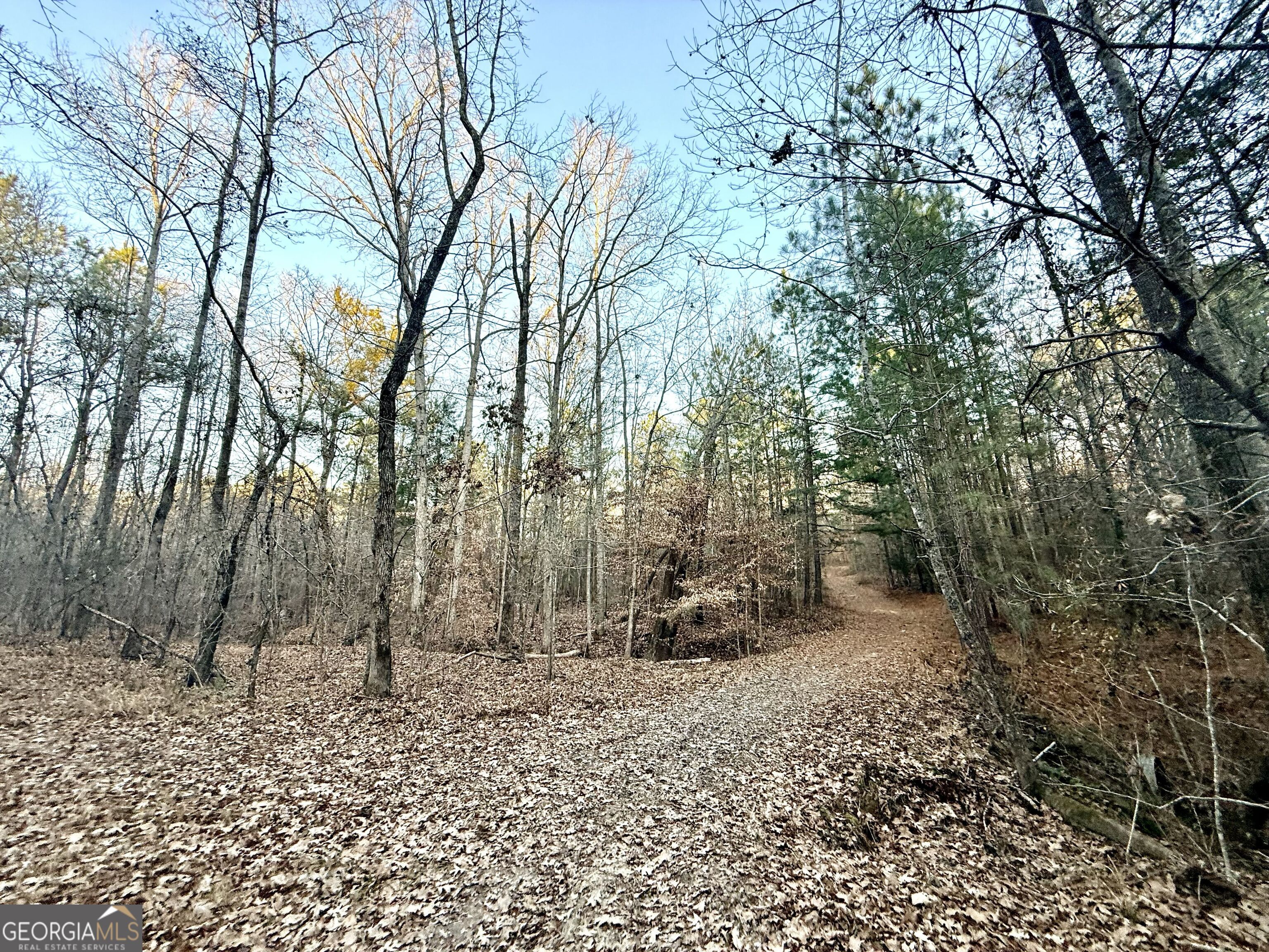 0 Cunningham Road Greensboro, GA 30642 - Photo 83 of 90 a backyard of a house with lots of green space