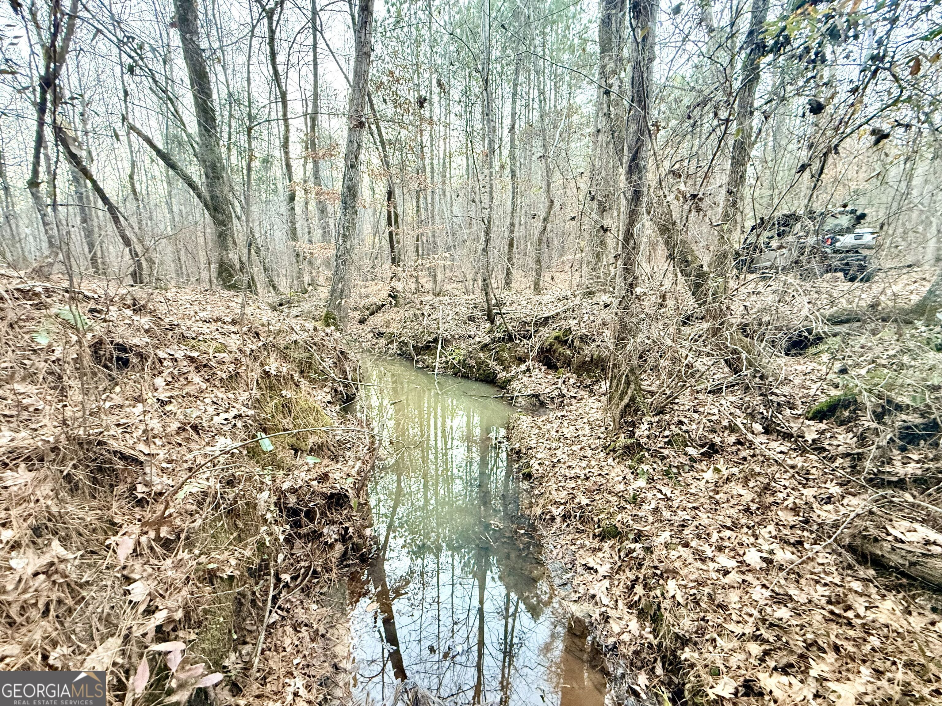 0 Cunningham Road Greensboro, GA 30642 - Photo 84 of 90