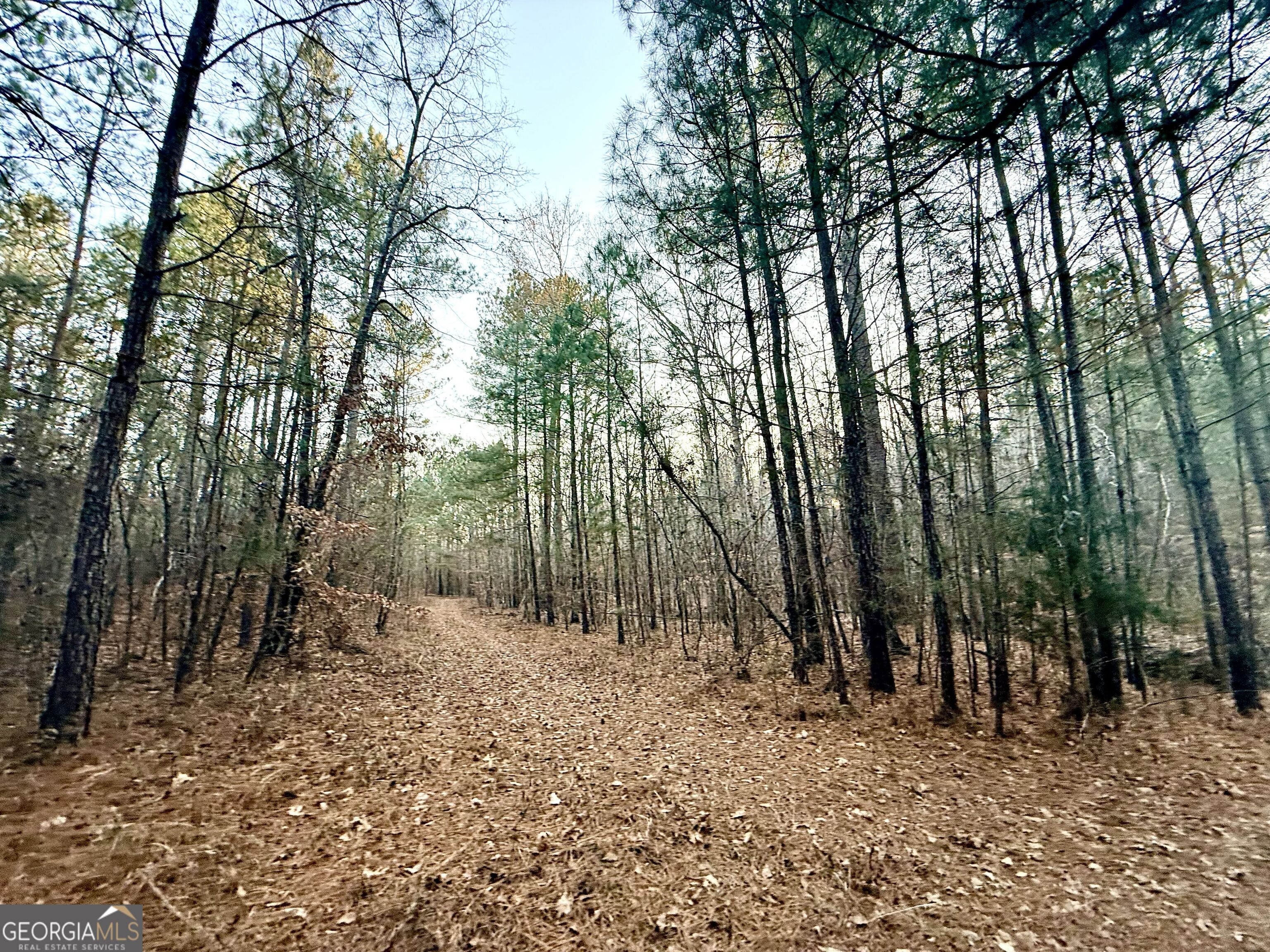 0 Cunningham Road Greensboro, GA 30642 - Photo 86 of 90 a view of outdoor space with trees