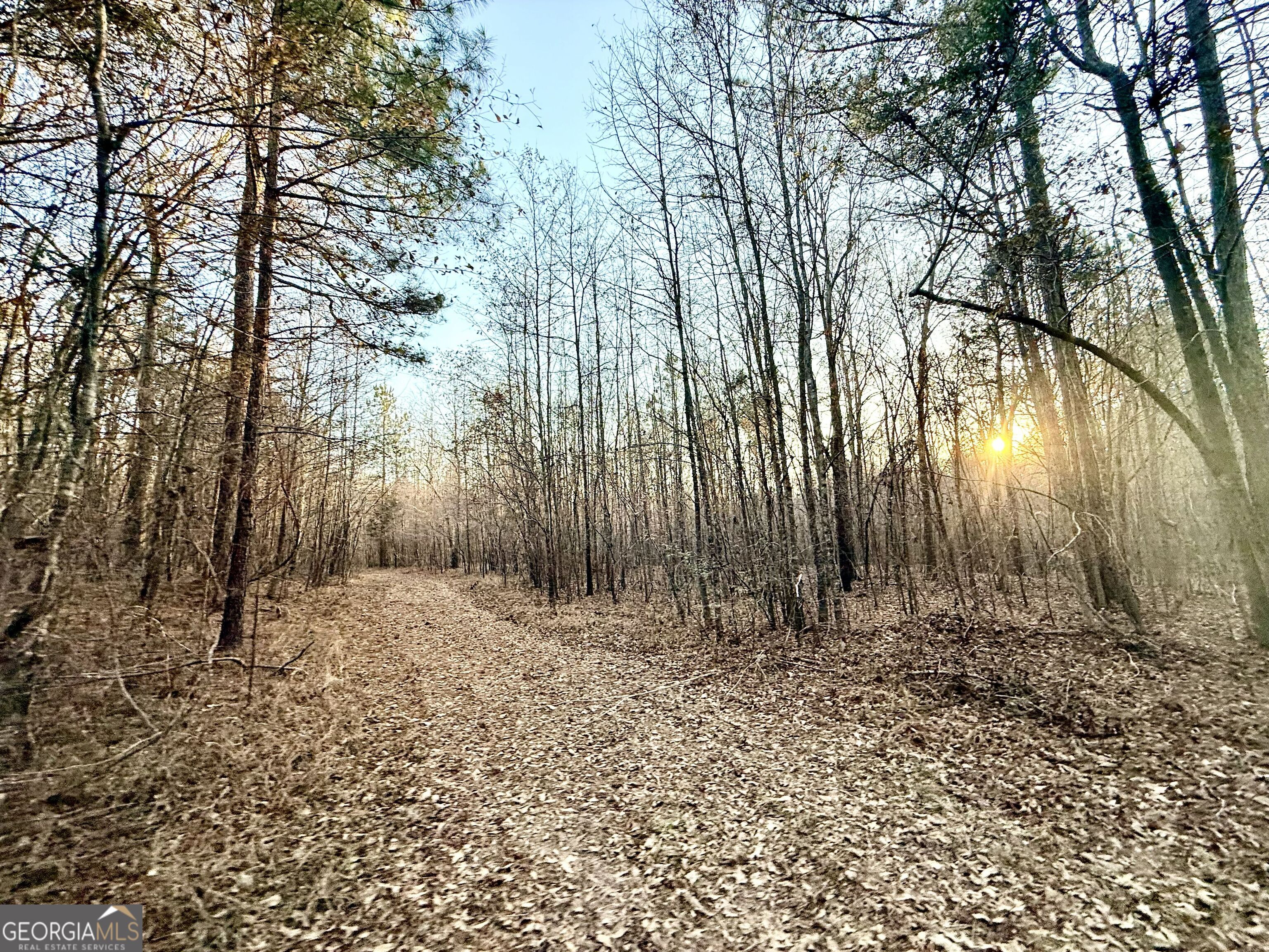 0 Cunningham Road Greensboro, GA 30642 - Photo 88 of 90