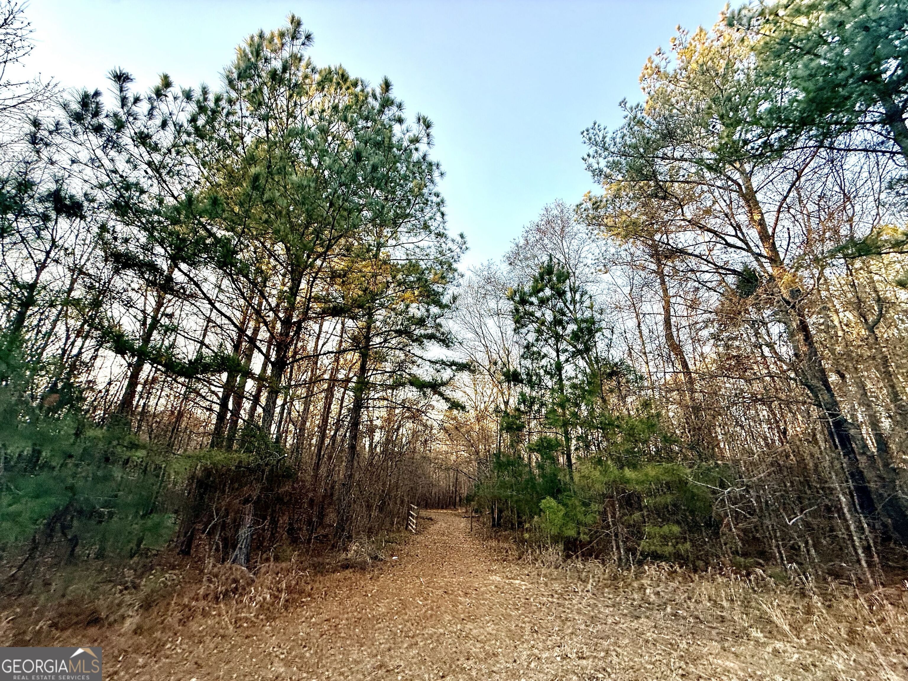0 Cunningham Road Greensboro, GA 30642 - Photo 89 of 90 a pathway of a yard