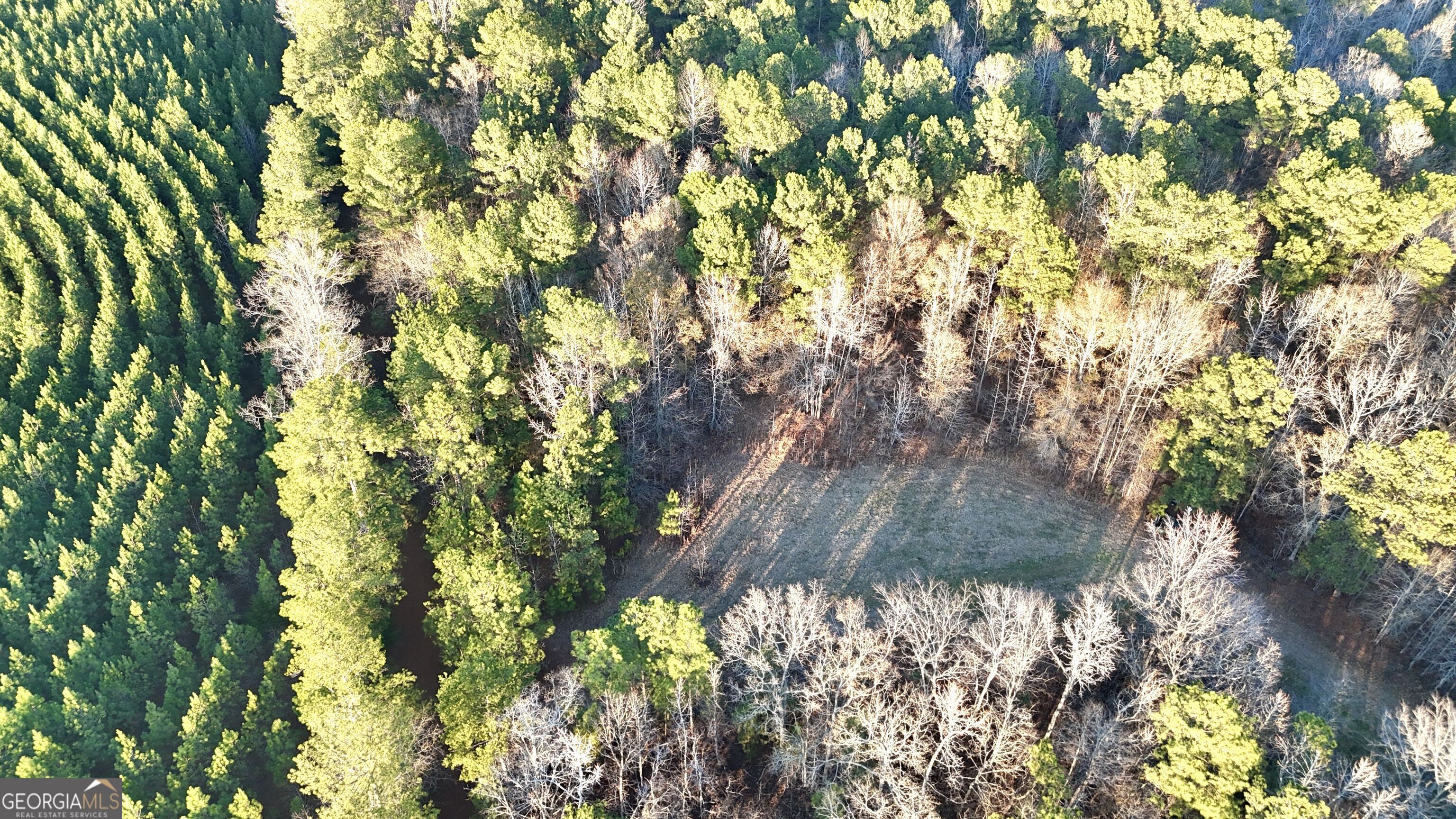 0 Cunningham Road Greensboro, GA 30642 - Photo 9 of 90