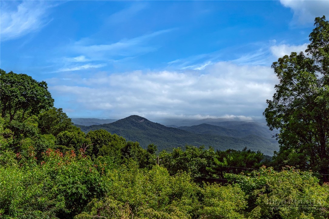 403 Laurel Park Road Blowing Rock, NC 28605 - Photo 3 of 46