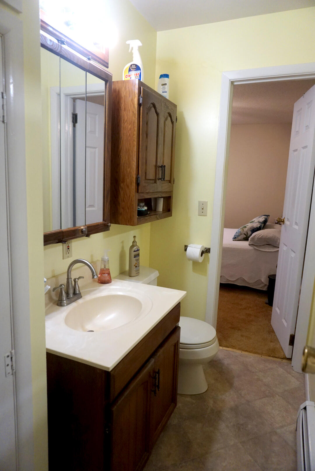 5341 Cross Road Spring Arbor, MI 49283 - Photo 29 of 41 HALF BATH2