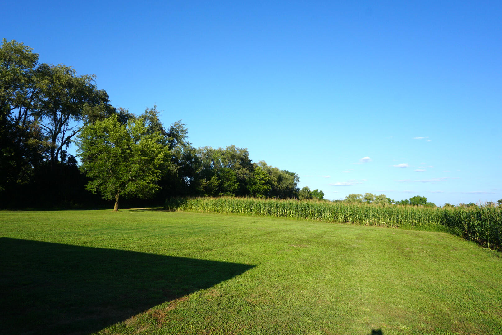 5341 Cross Road Spring Arbor, MI 49283 - Photo 5 of 41 BACKYARD