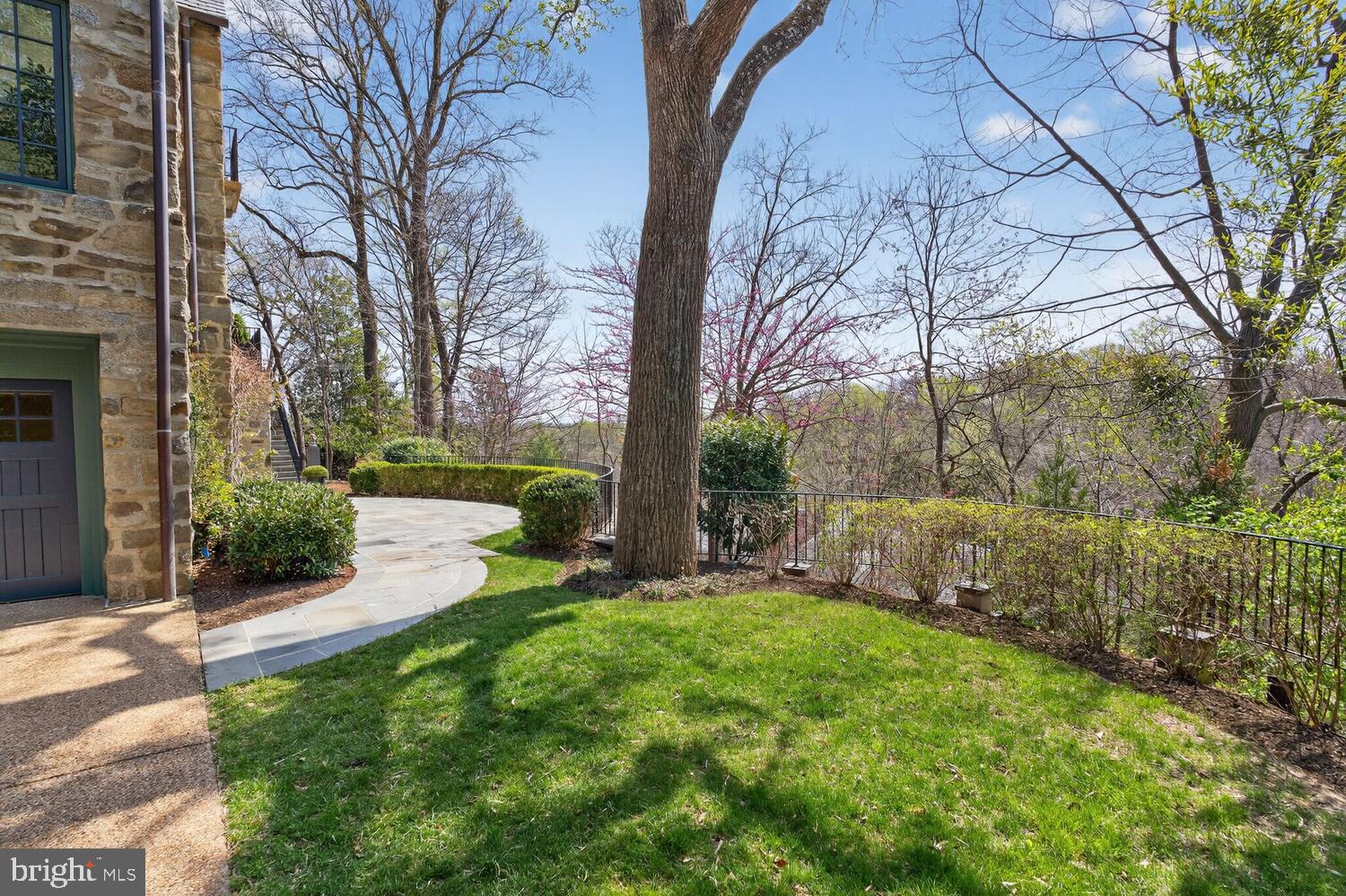 2604 31st Street Northwest Washington, DC 20008 - Photo 40 of 46 a view of a yard with large trees