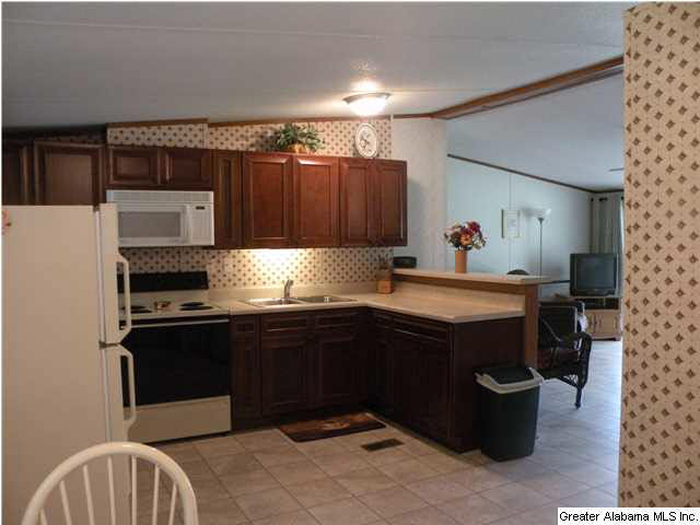 445 Reed Road Ashville, AL 35953 - Photo 6 of 17