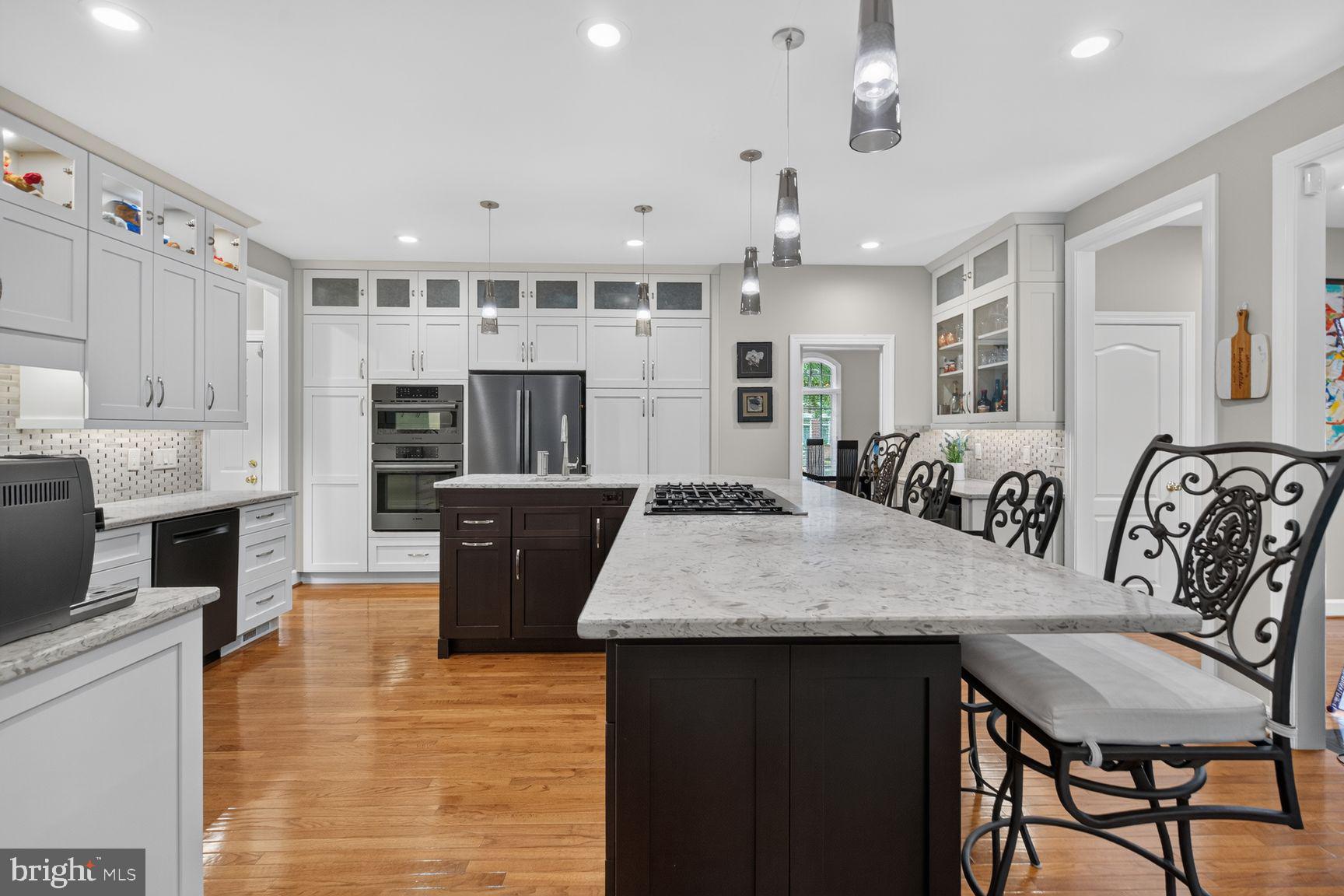 11081 Pelham Manor Place Reston, VA 20194 - Photo 19 of 99 Modern kitchen with elegant finishes.