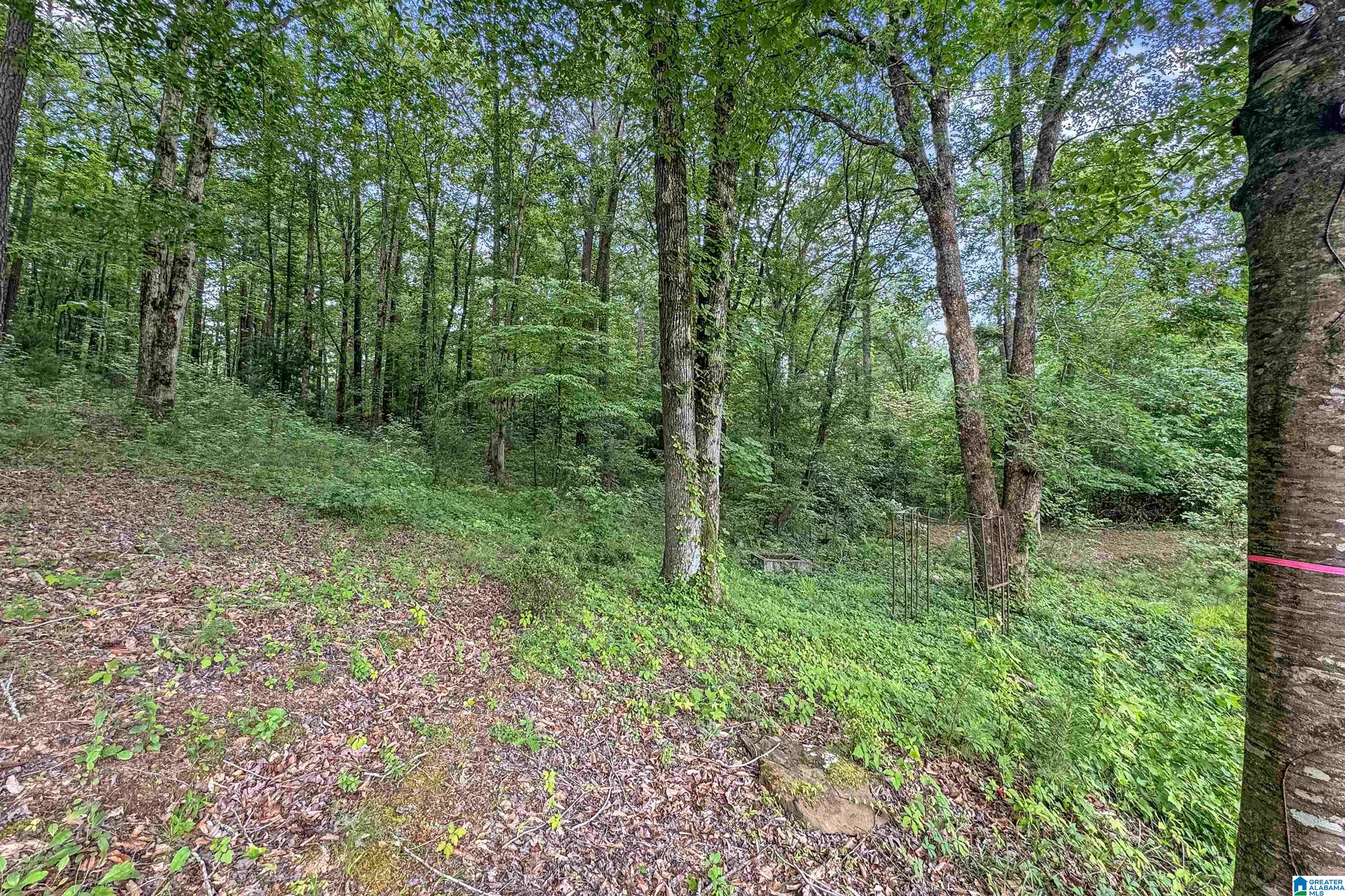 0 Red Oak Circle Helena, AL 35080 - Photo 1 of 21