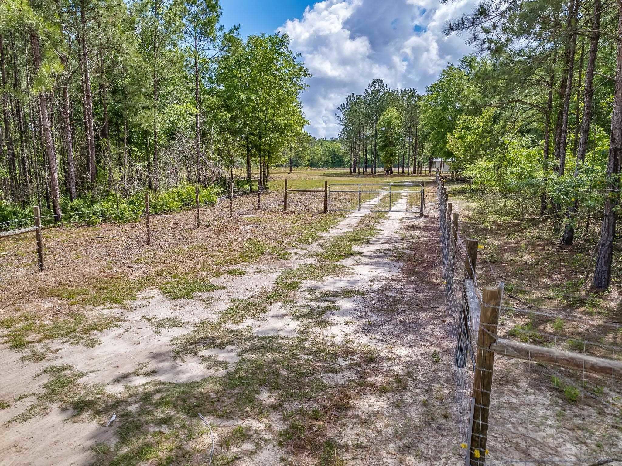 Xx Juniper Creek Road Quincy, FL 32351 - Photo 1 of 8 Gallery Image 1