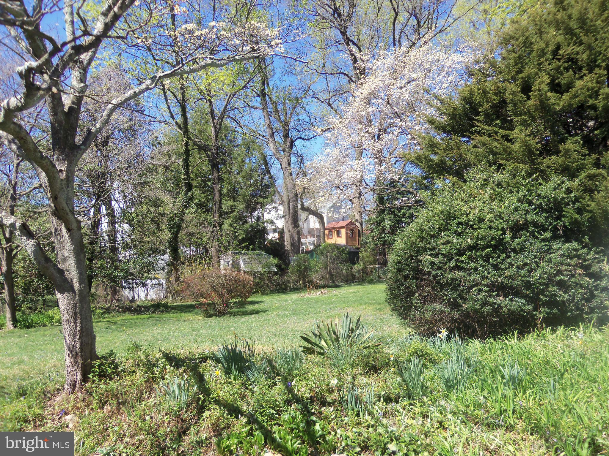 10148 Sutherland Road Silver Spring, MD 20901 - Photo 4 of 30 a view of a yard with large trees
