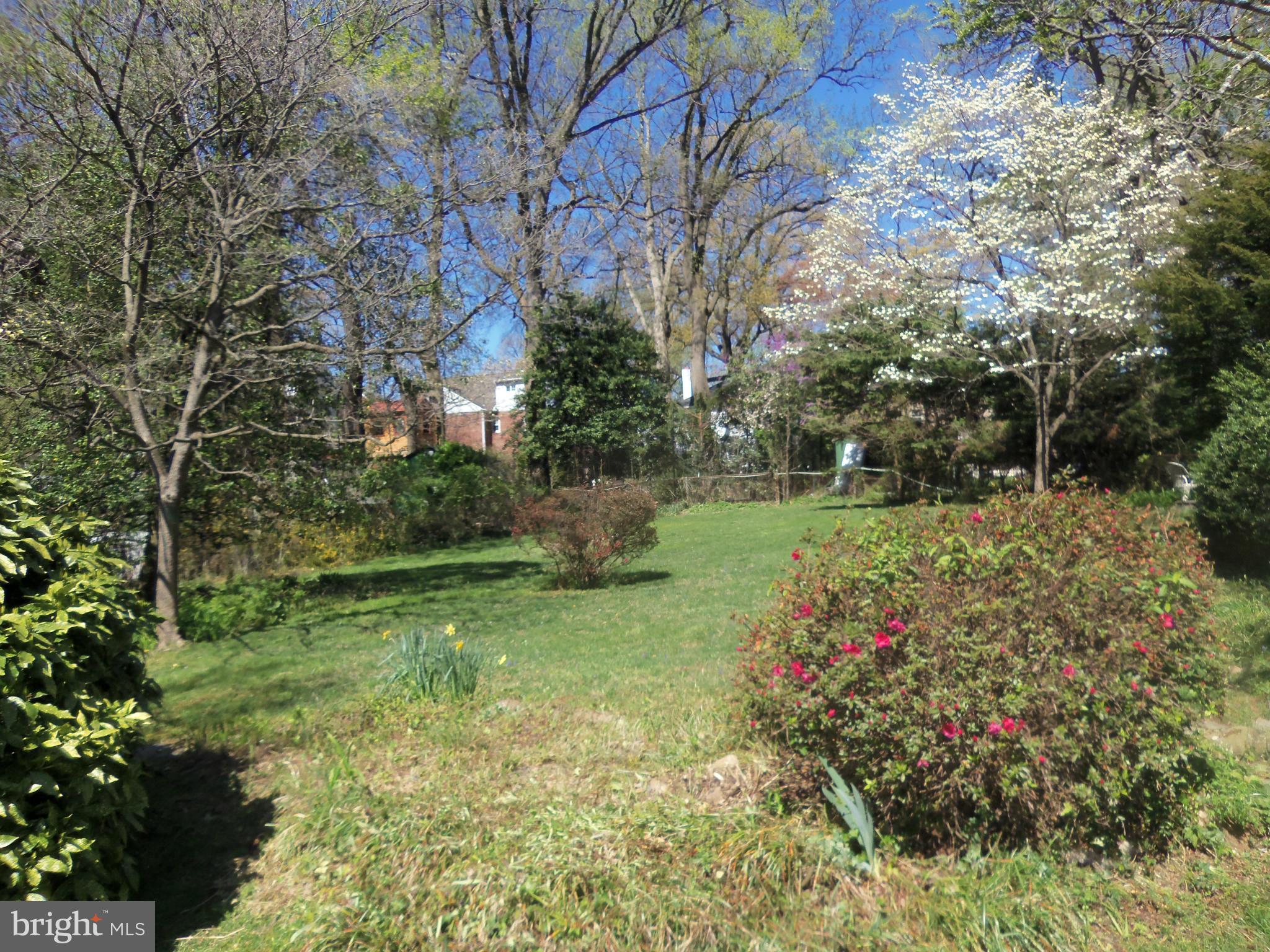 10148 Sutherland Road Silver Spring, MD 20901 - Photo 5 of 30 a view of a garden with plants and large trees