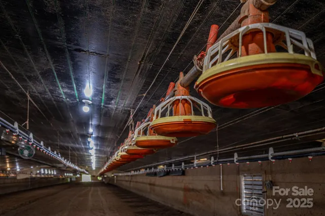 a house with trees in the background