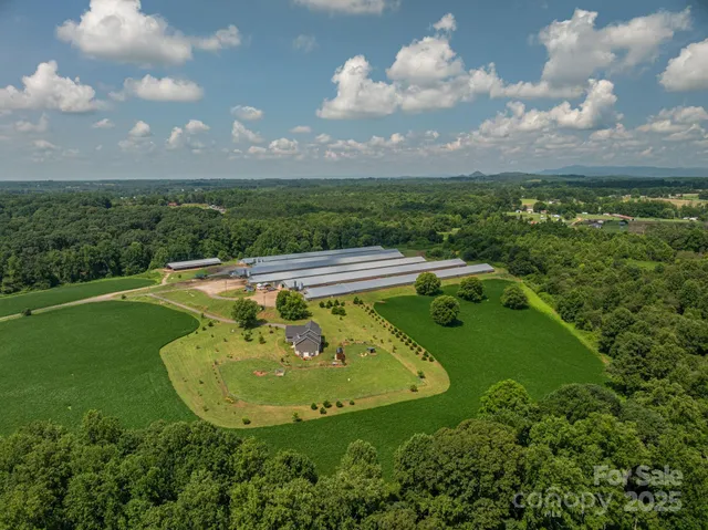 a view of a swimming pool with a yard