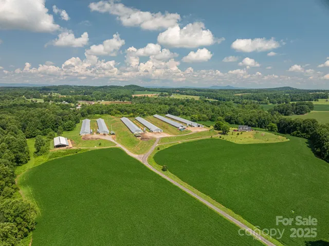 a view of a big yard with swimming pool and green space