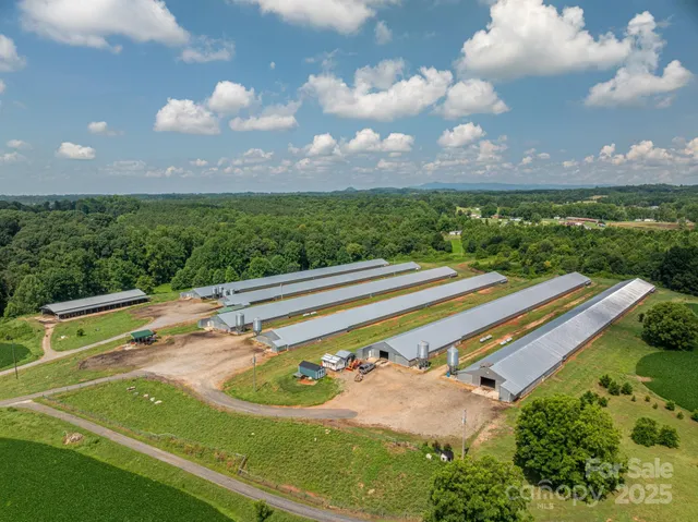 a view of a swimming pool with a yard