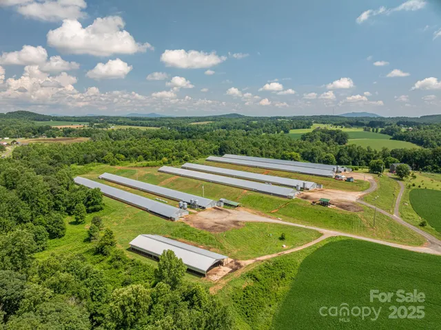 a view of a swimming pool with a yard and plants