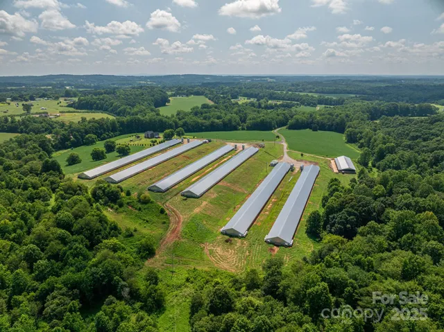 a view of a yard with an outdoor space