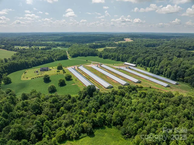 a view of a garden with an ocean