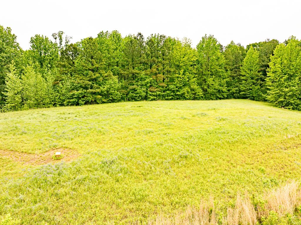 0 Poplar Grove Cemetery Road Henning, TN 38041 - Photo 33 of 40 Expansive grassy field bordered by a dense tree line