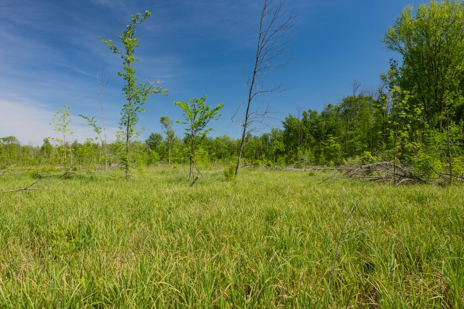 Chicago Road Redgranite, WI 54970 - Photo 23 of 37