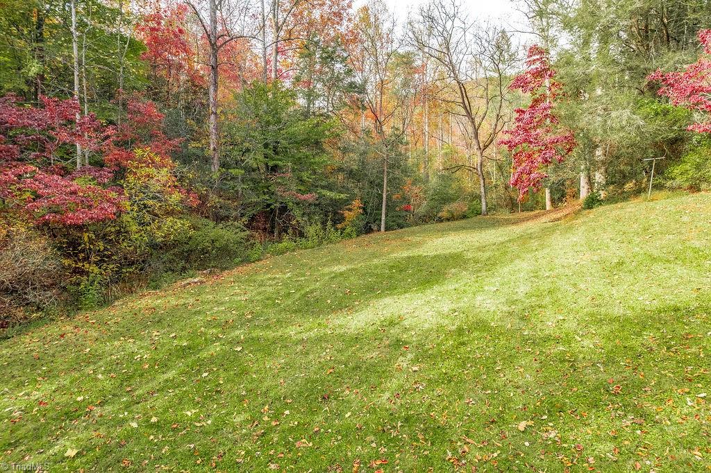 4444 Mt Zion Road Ferguson, NC 28624 - Photo 33 of 46