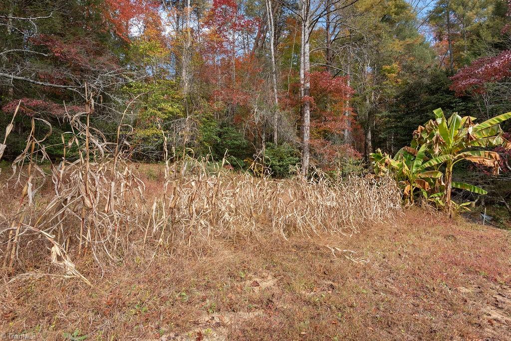 4444 Mt Zion Road Ferguson, NC 28624 - Photo 40 of 46