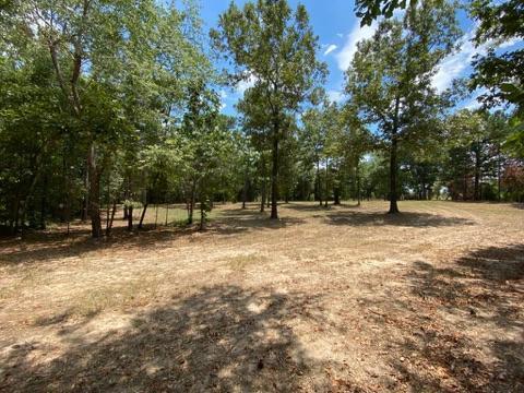 2482 Wheeler Road Keysville, GA 30816 - Photo 3 of 5 property