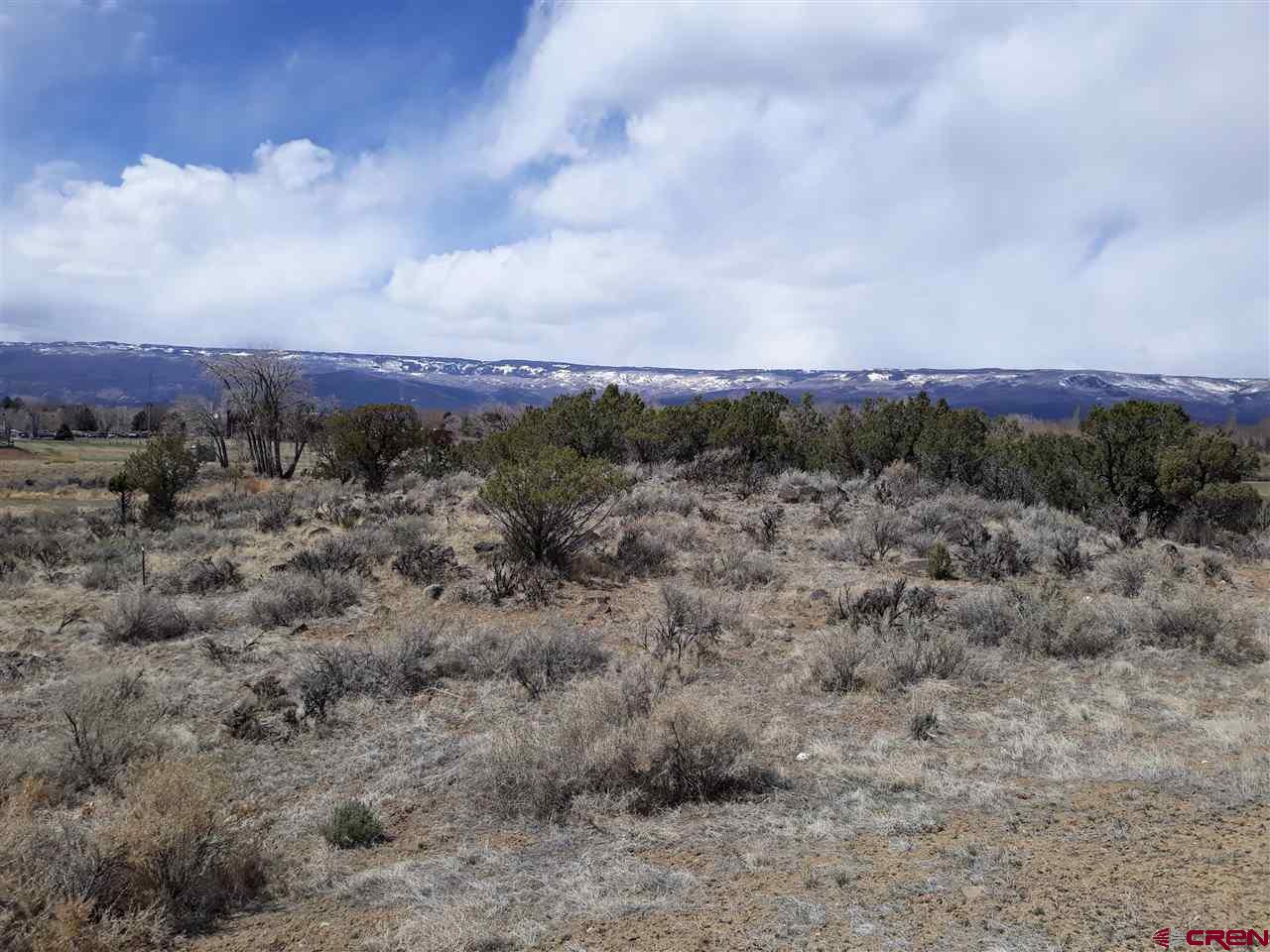 705 Southeast Pinyon Street Cedaredge, CO 81413 - Photo 2 of 2