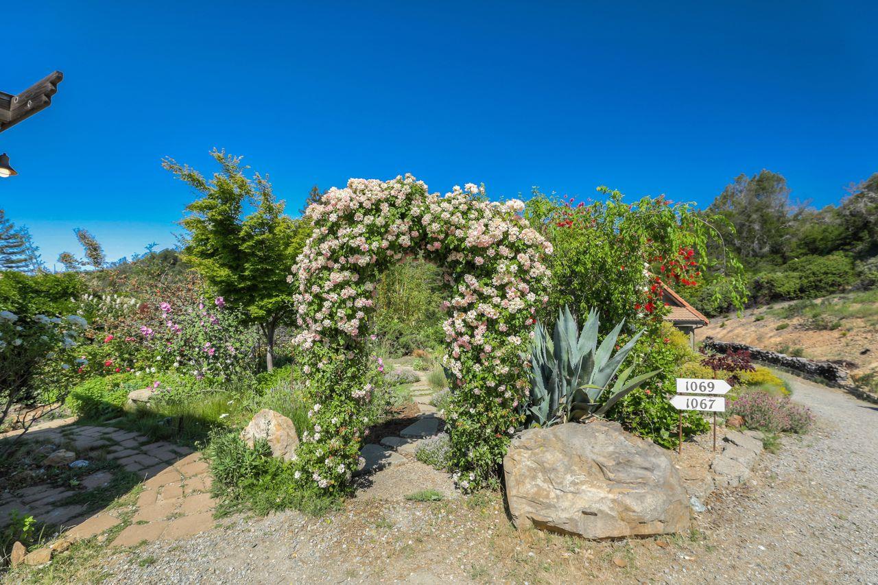 1069 Summit Road Watsonville, CA 95076 - Photo 35 of 50 a view of a plant with a yard